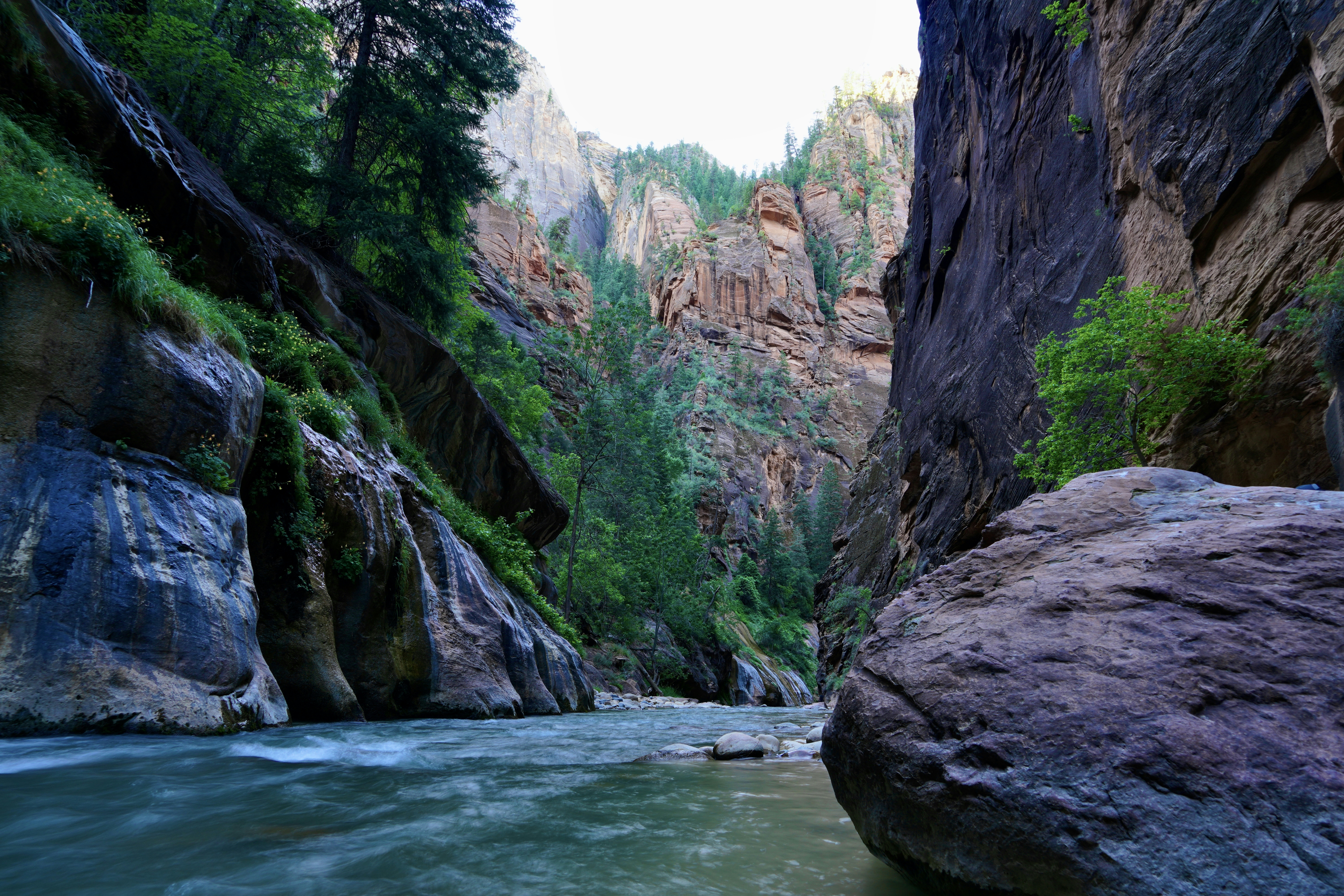 Photo by extralongexposure