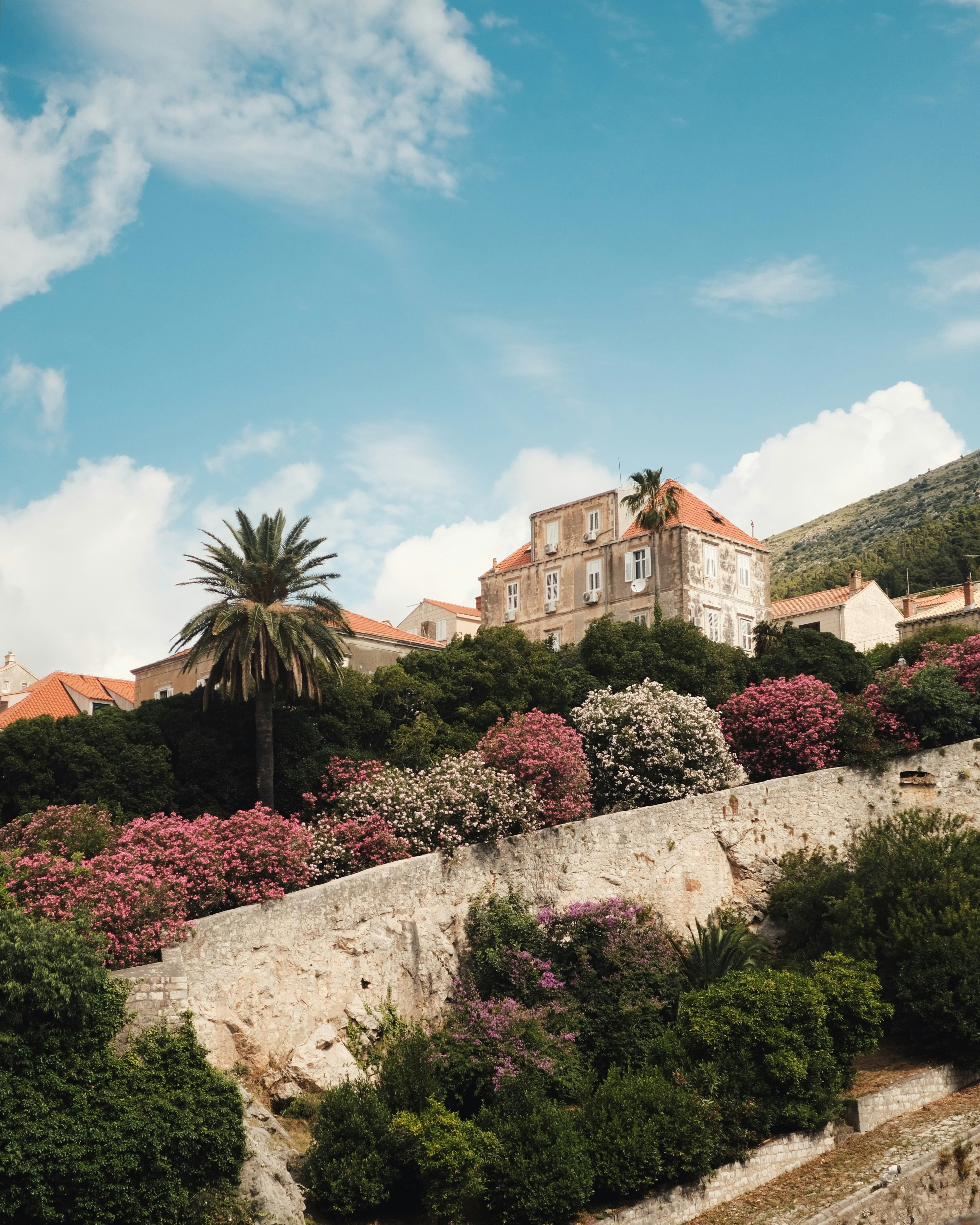 Photo by toddvisuals