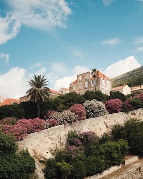 a house on a hill with trees and bushes