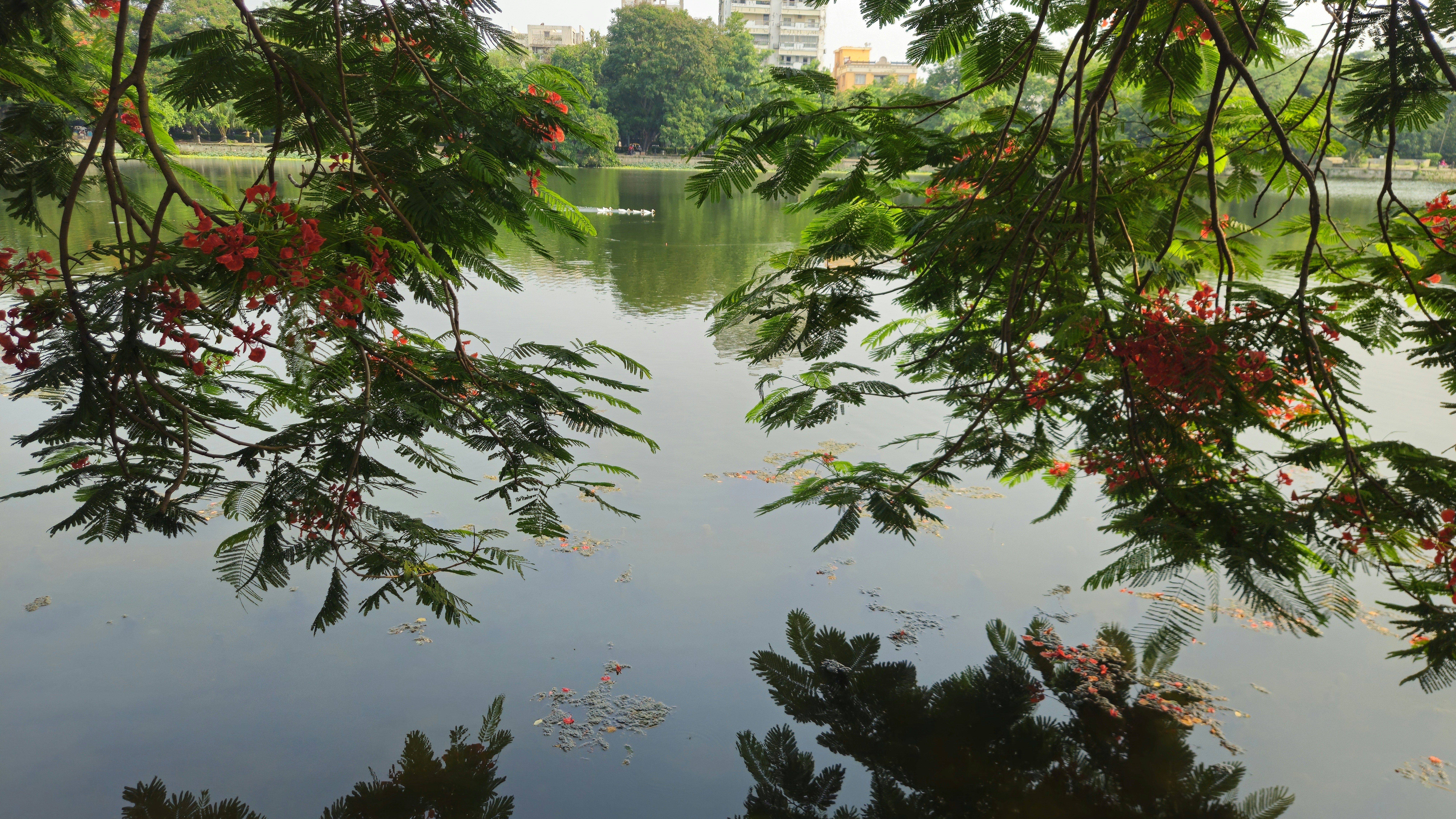 Photo by suman17041995