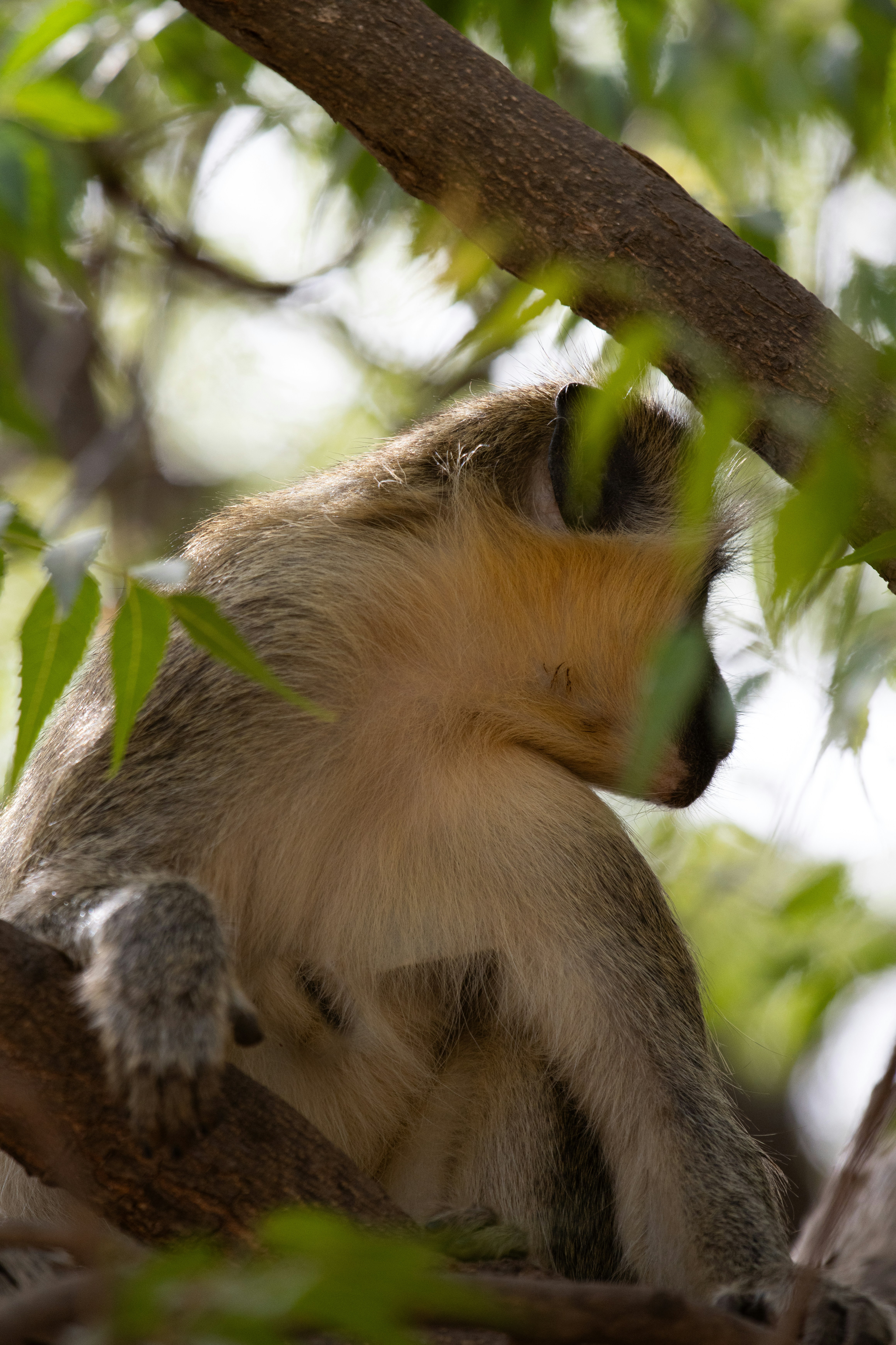 Photo by nathanael240606