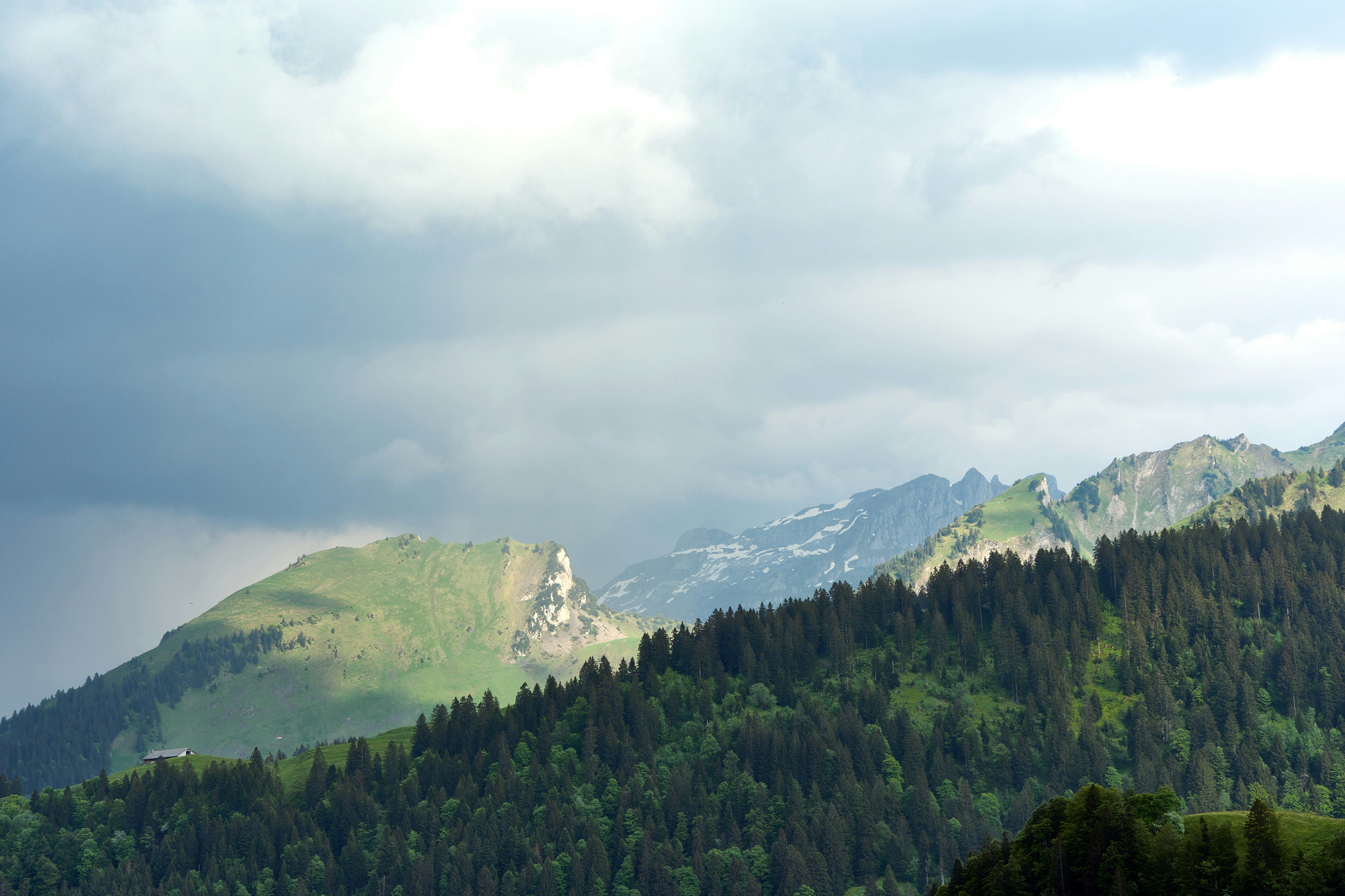 Photo by wolfgang_hasselmann