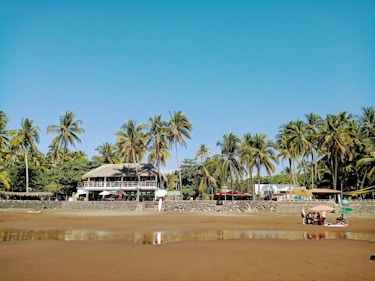 a sandy beach with palm trees and a hut