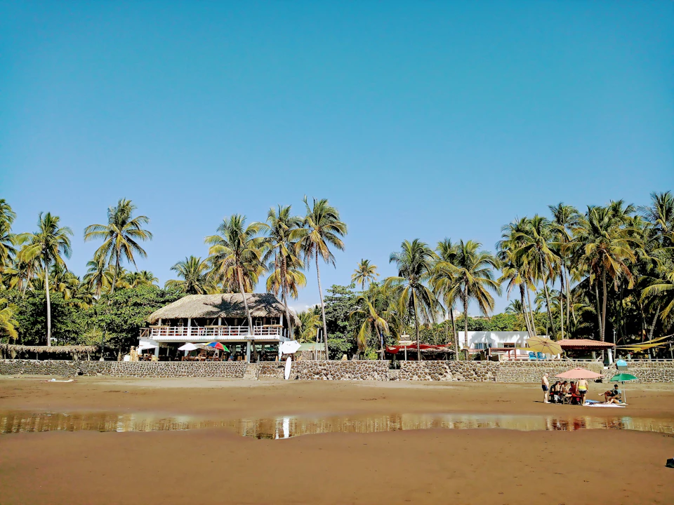 The image depicts a serene beach scene with a clear blue sky and palm trees lining the shoreline. The sandy beach is dotted with people enjoying their day, some walking along the water's edge while others are sitting under umbrellas. In the background, there is a small hut-like structure that appears to be a restaurant or café.