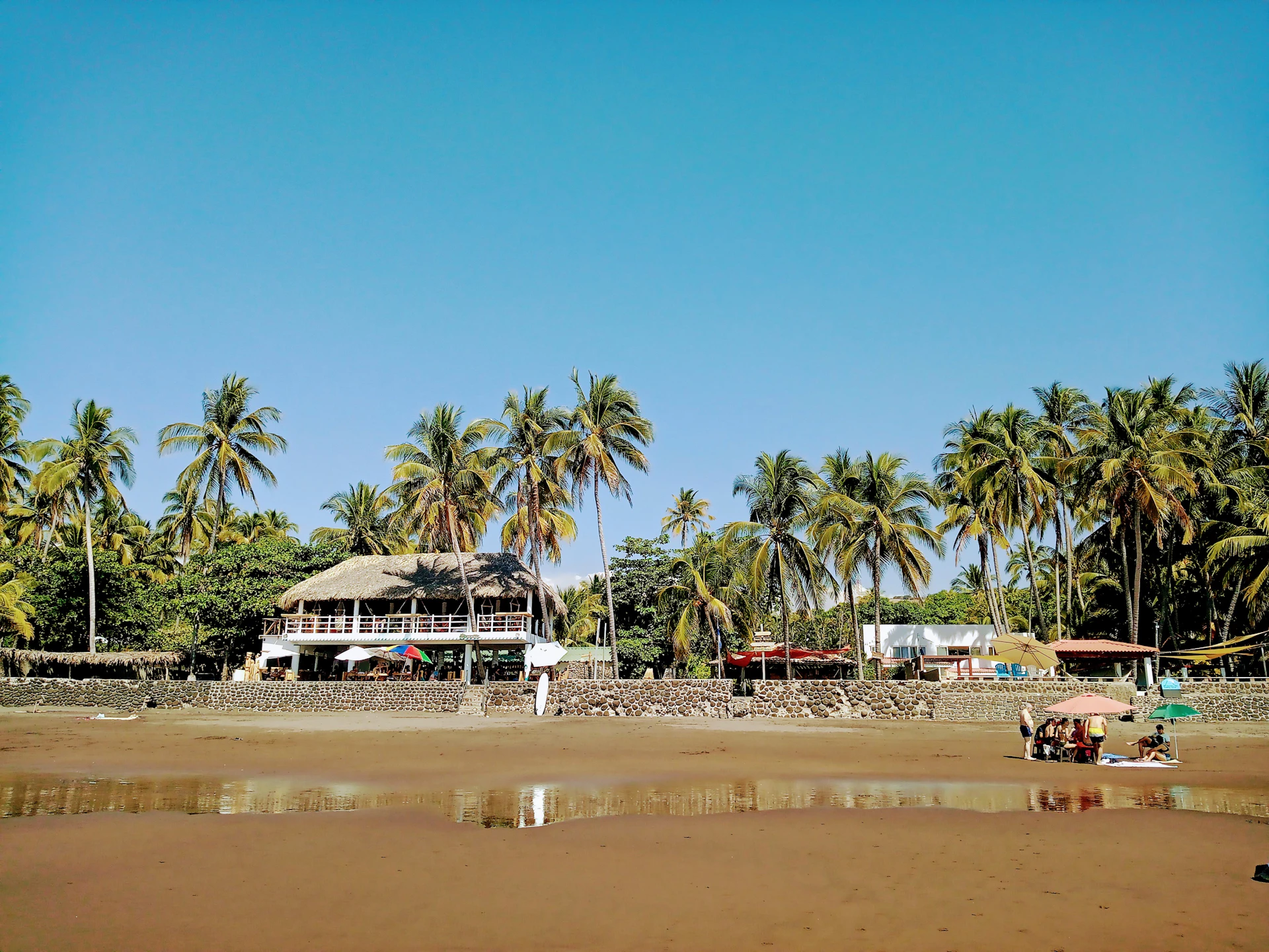a sandy beach with palm trees and a hut