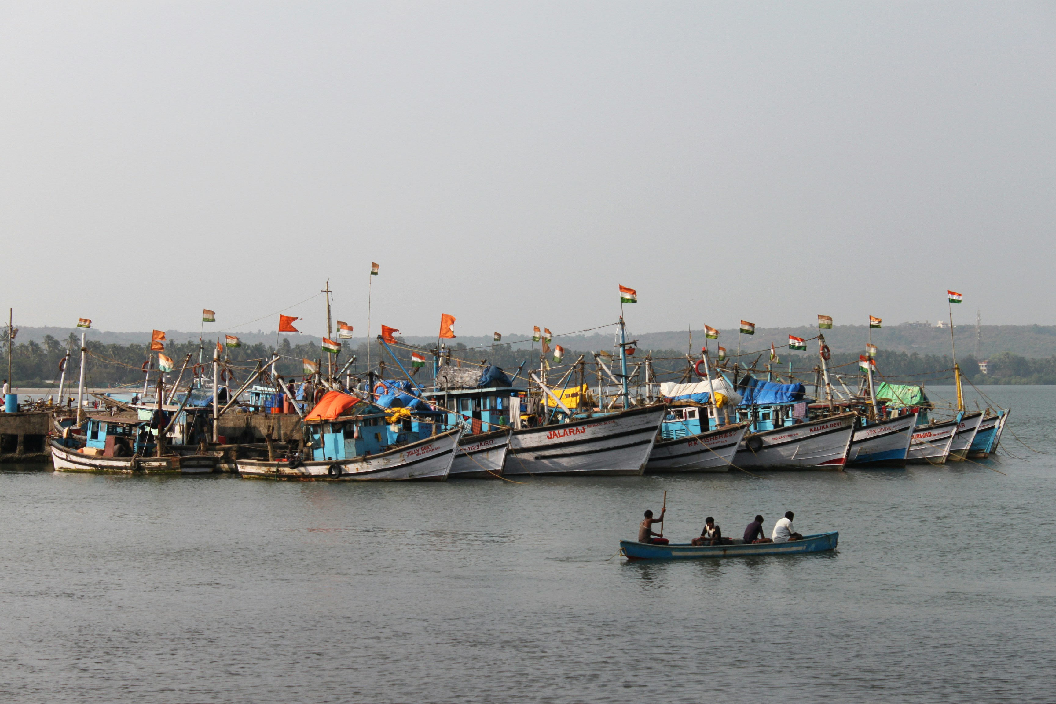 Photo by miguelbaixauli