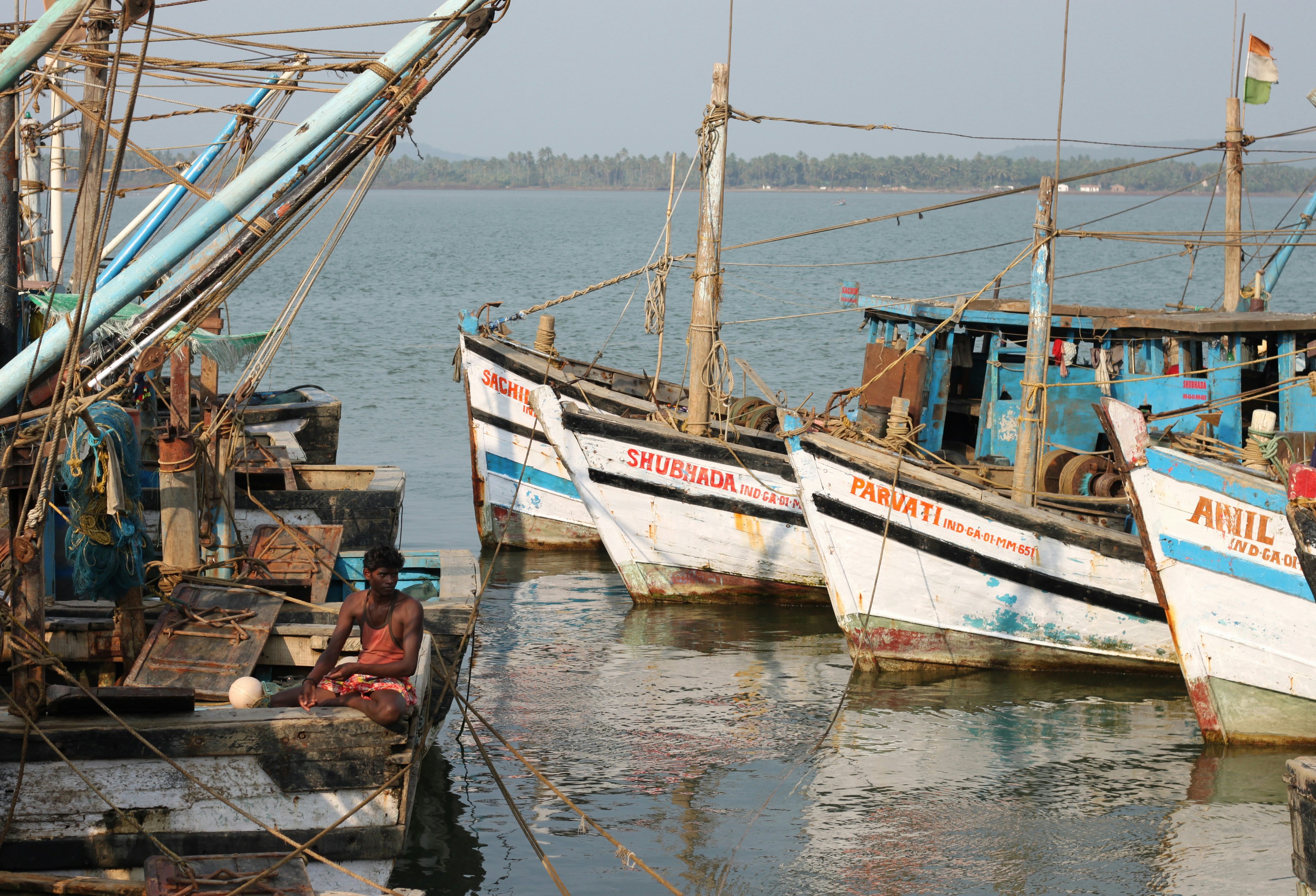 Photo by miguelbaixauli