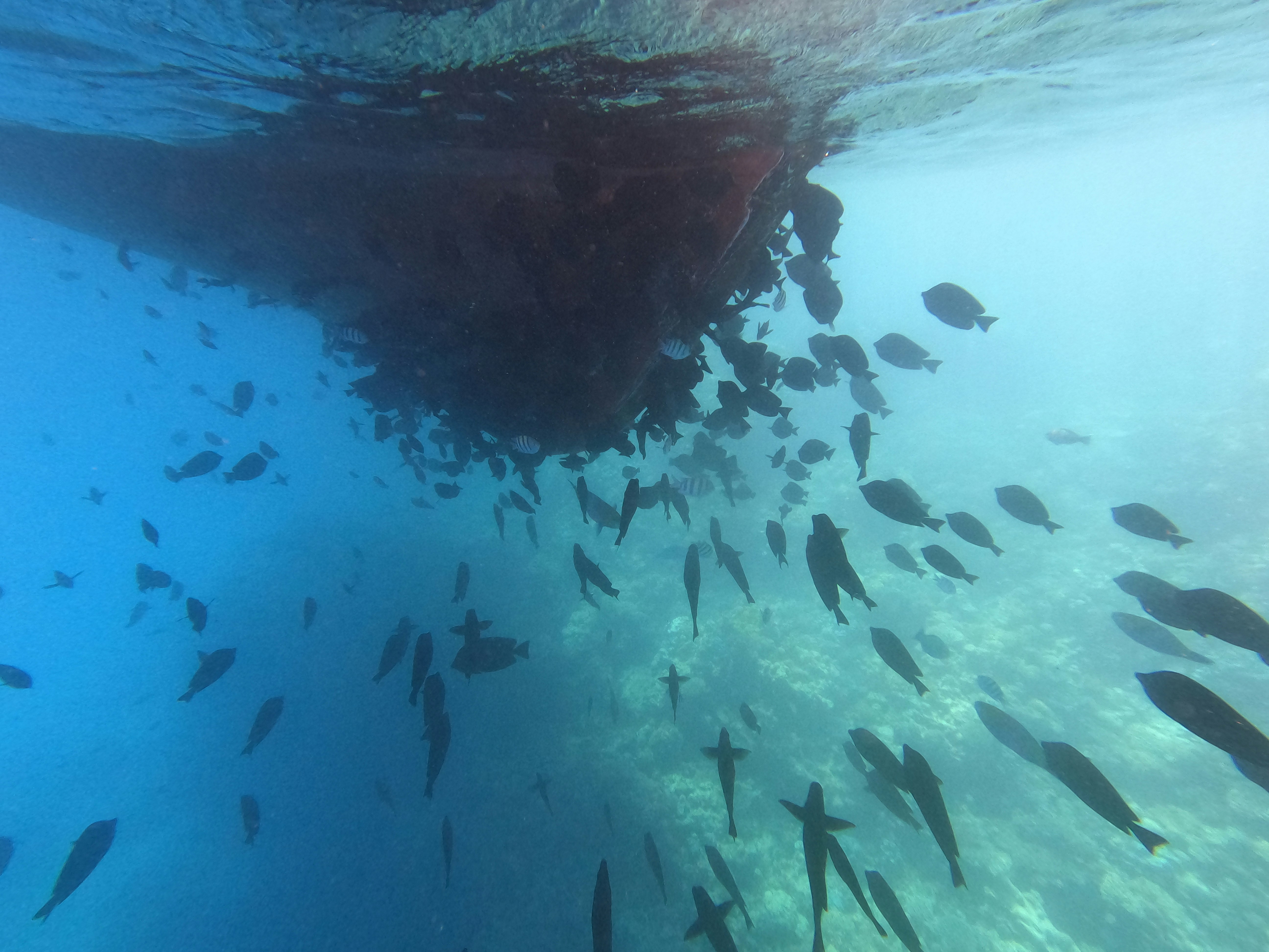 Photo by muhammad1nabil