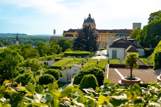 a view of a garden with a building in the background
