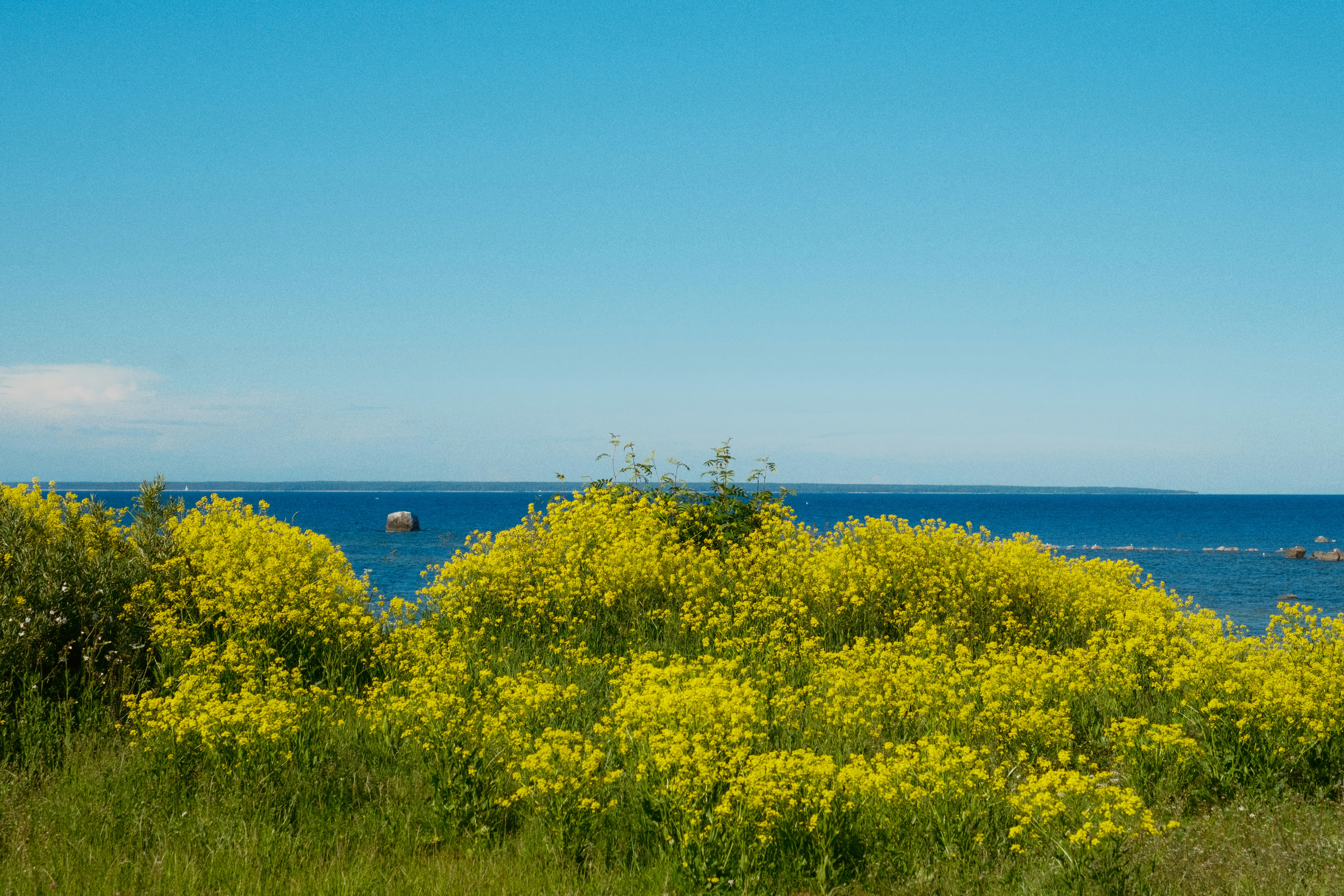 Photo by genet_schneider