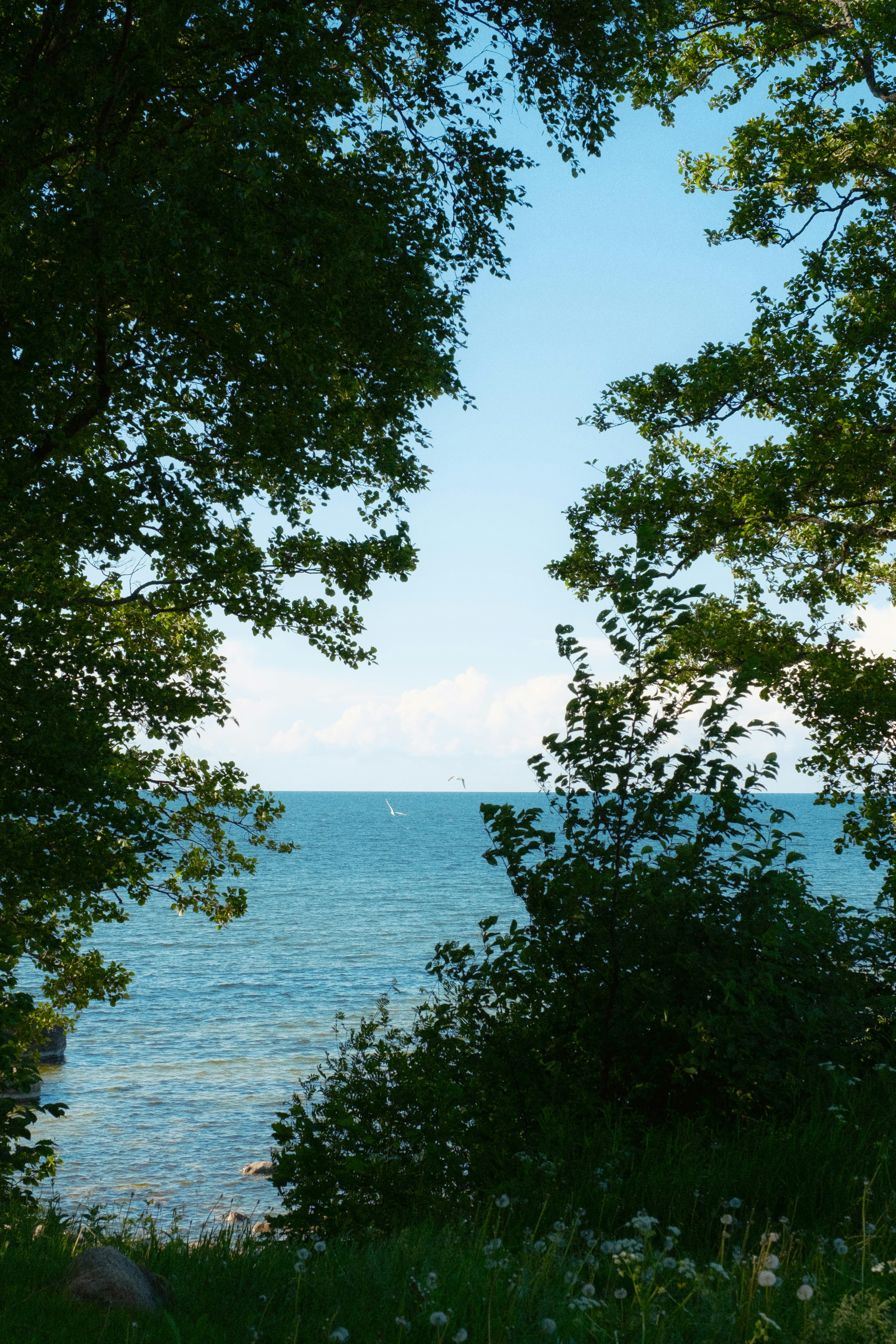 Photo by genet_schneider