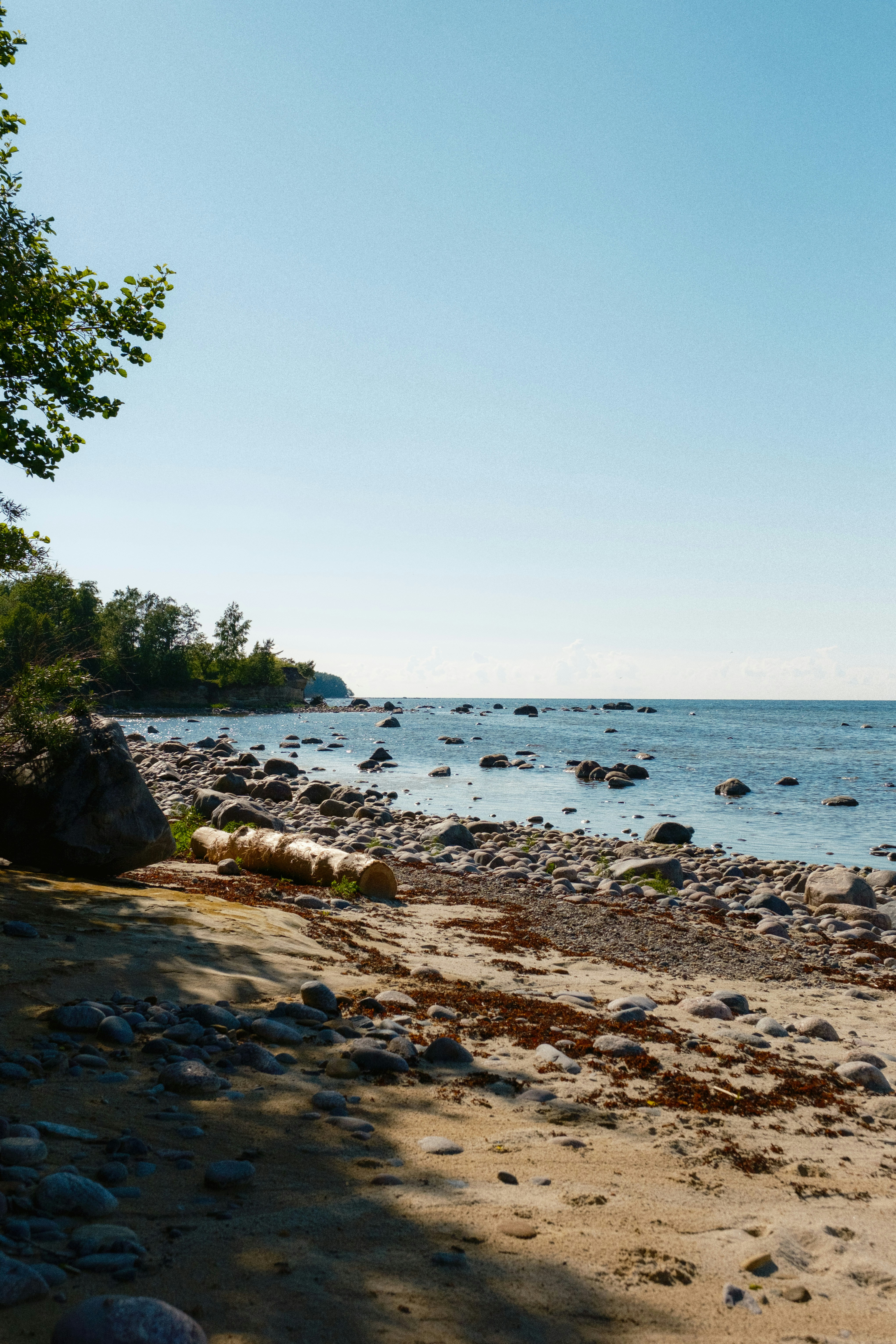 Photo by genet_schneider