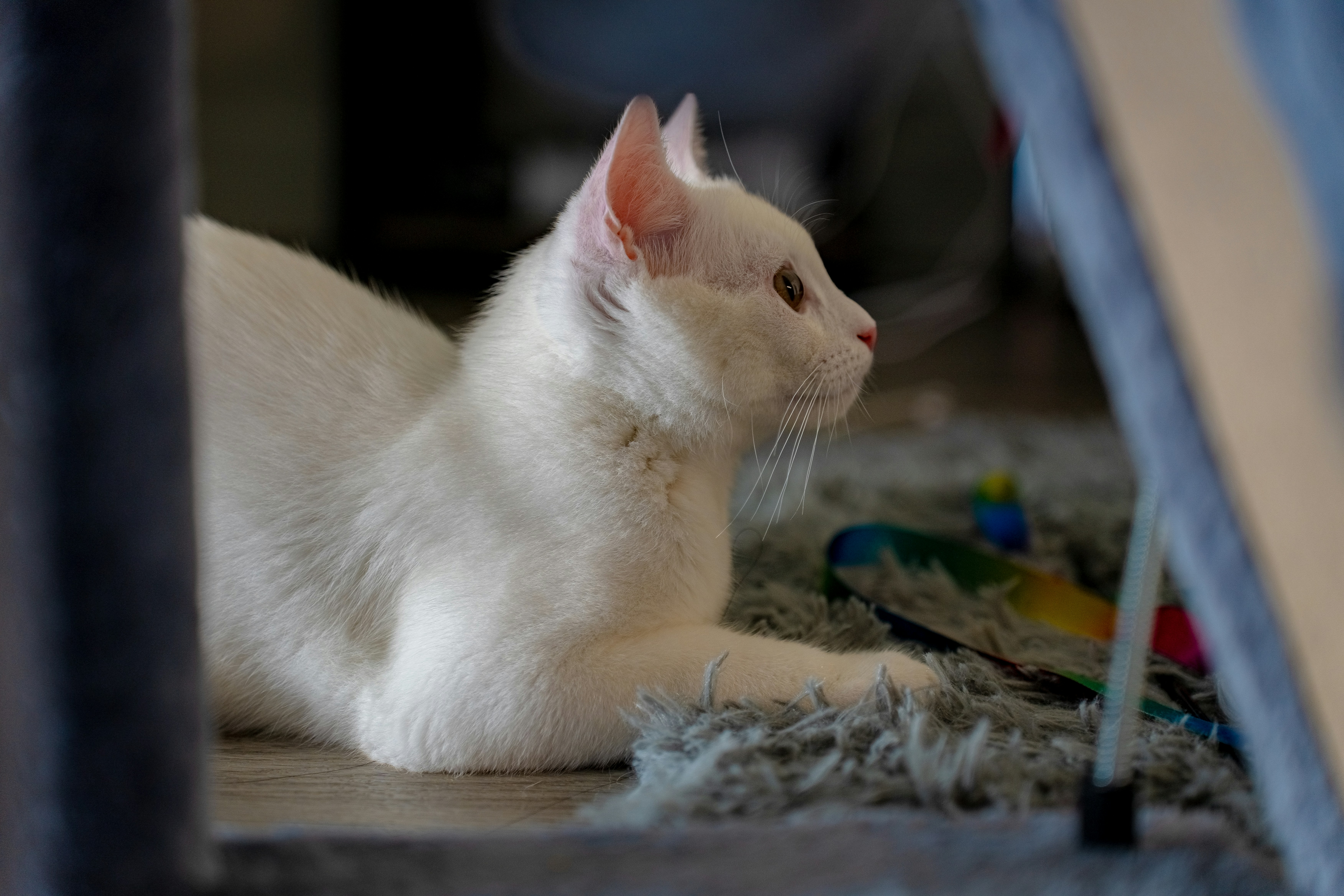 You Let Down Your Guard (image credits: unsplash)