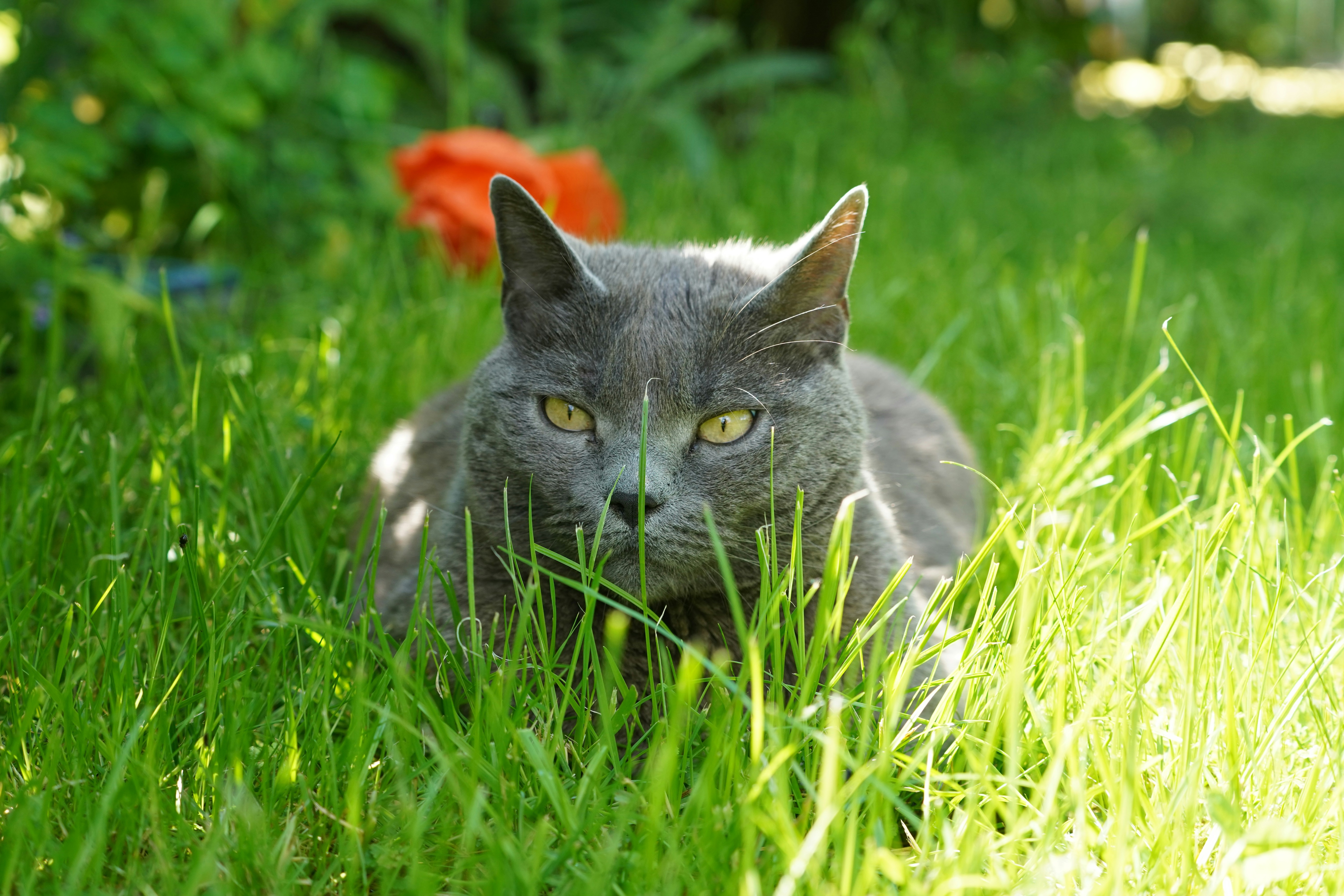 Photo by dehydration64