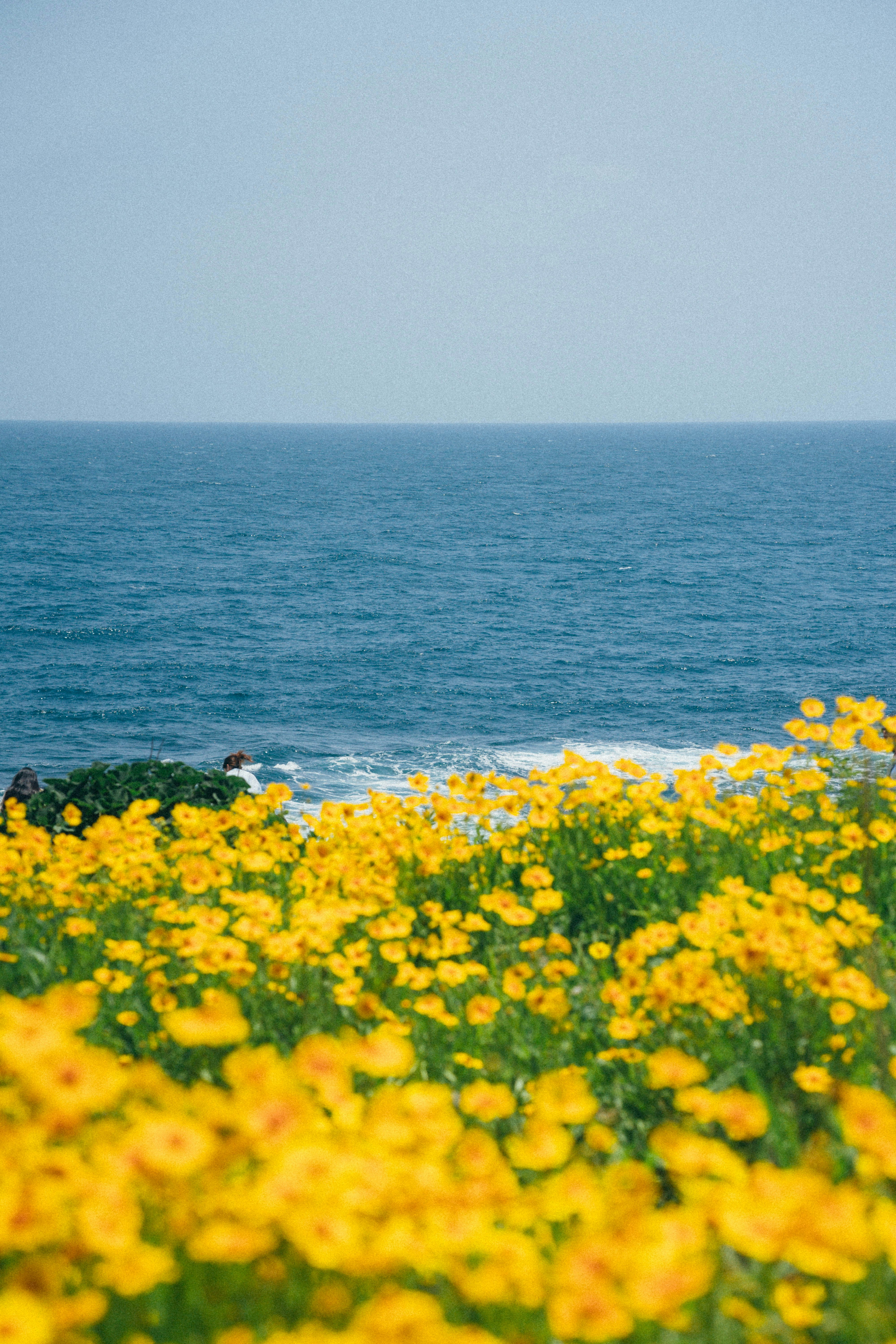 Jeju Island – Activities & Attractions