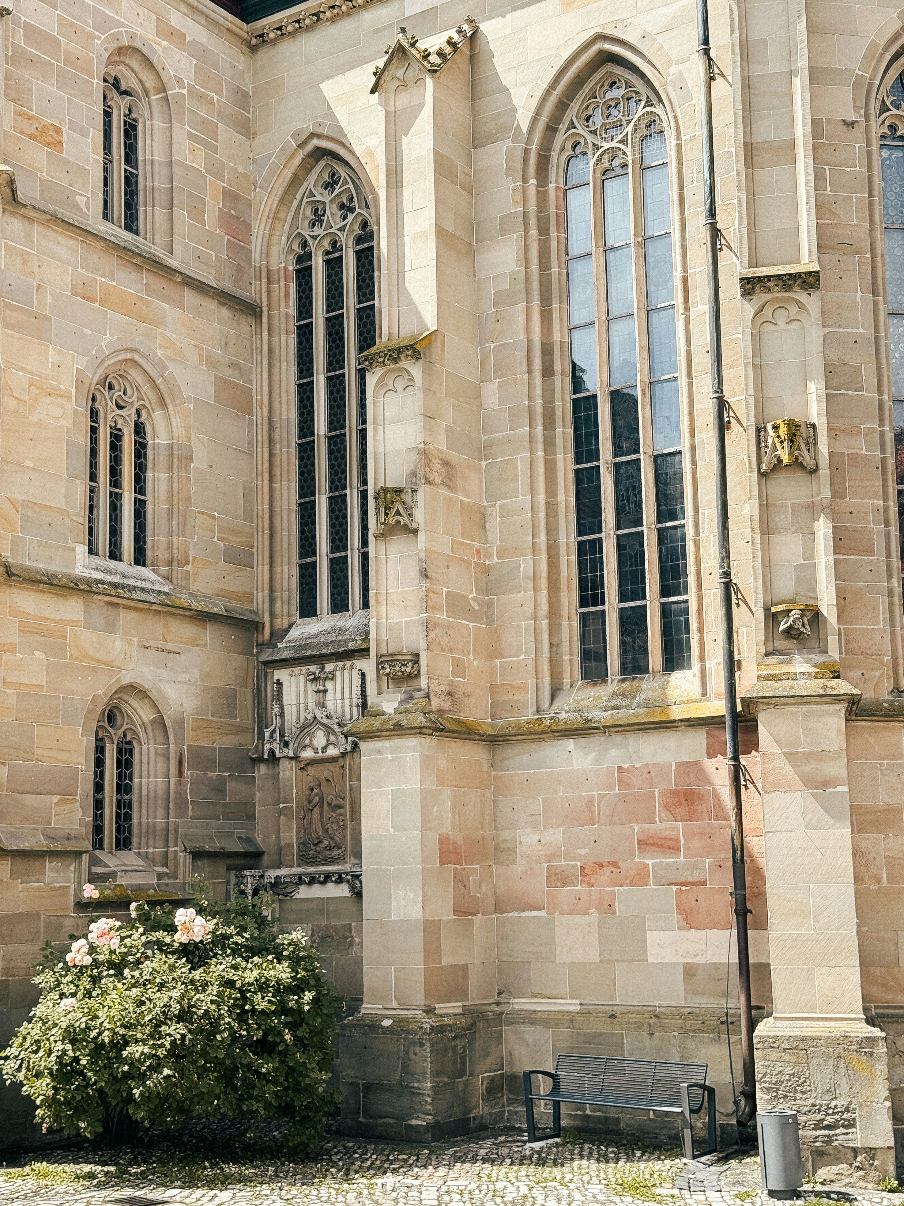 Photo by zvada_photo