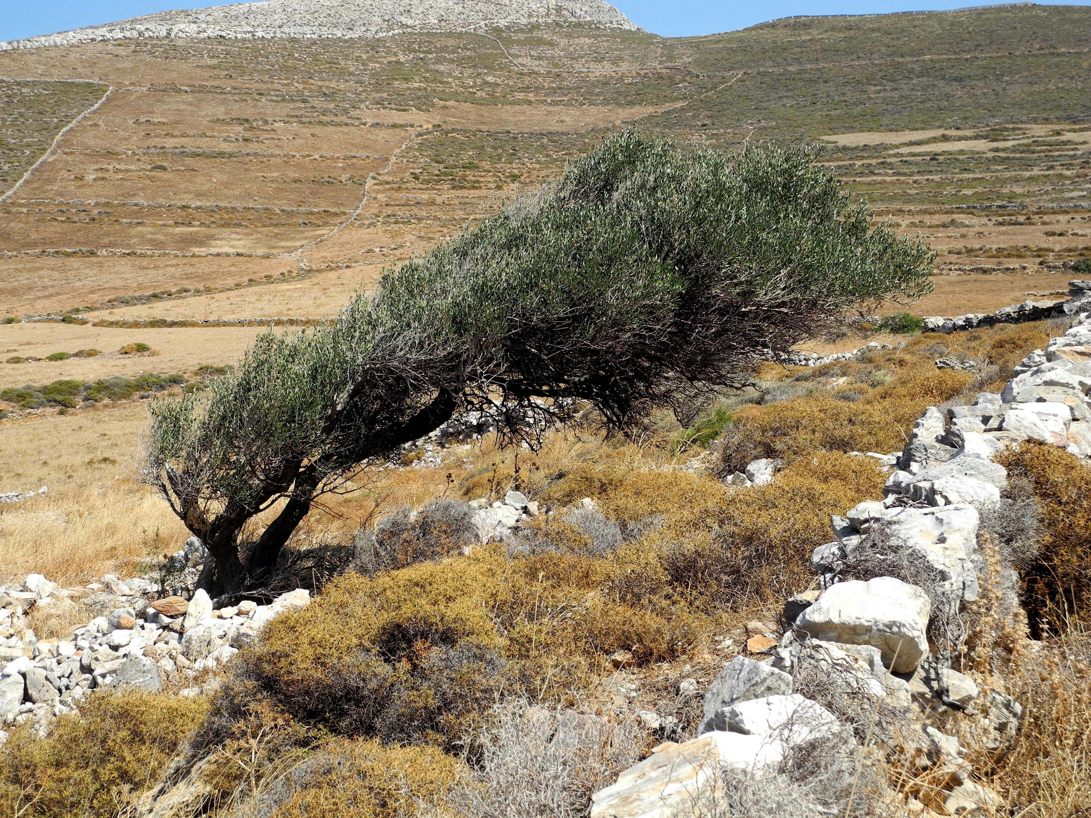Η Κύπρος έχει πολλές αλλαγές στον καιρό και το κλίμα