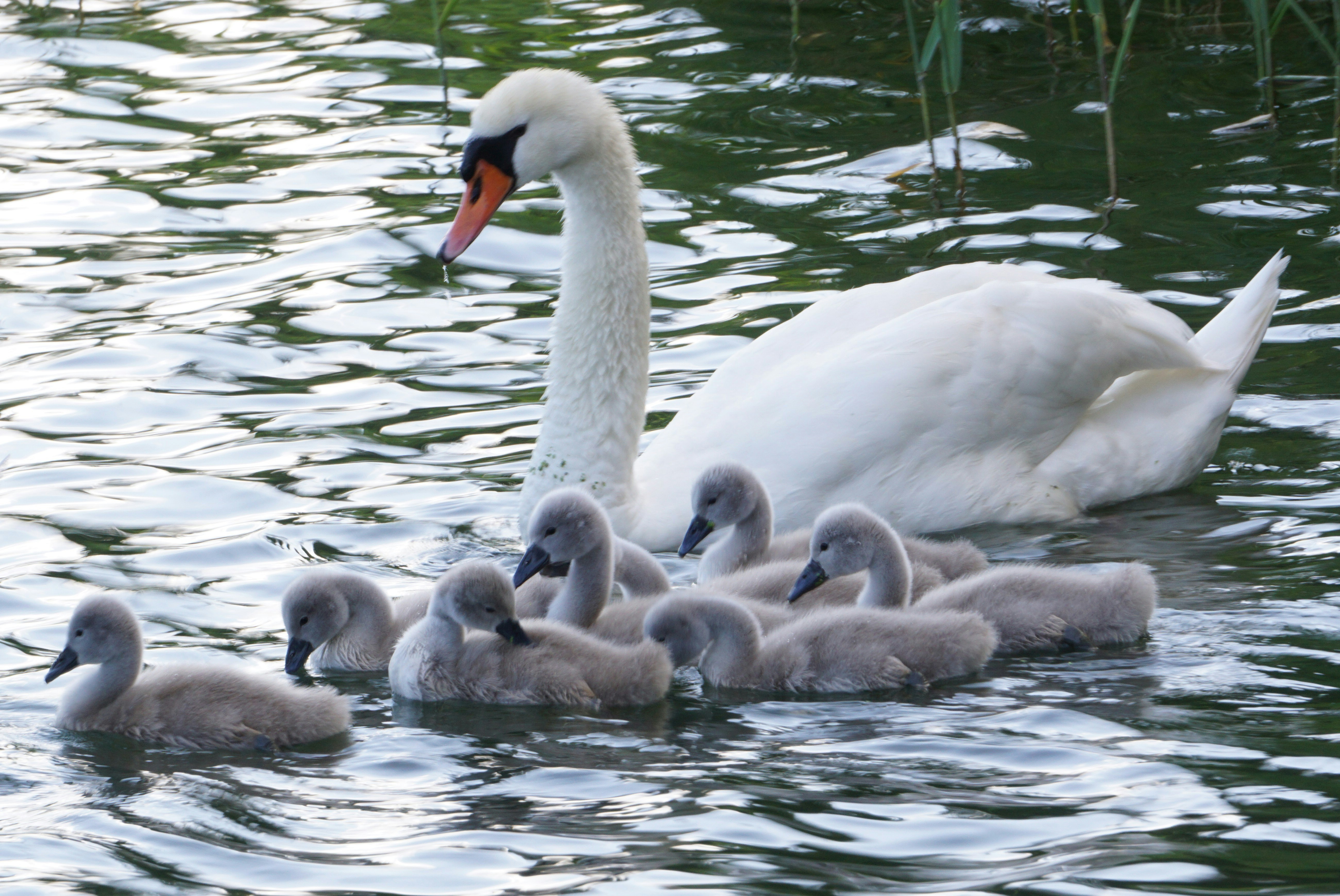 Photo by andreas_haubold