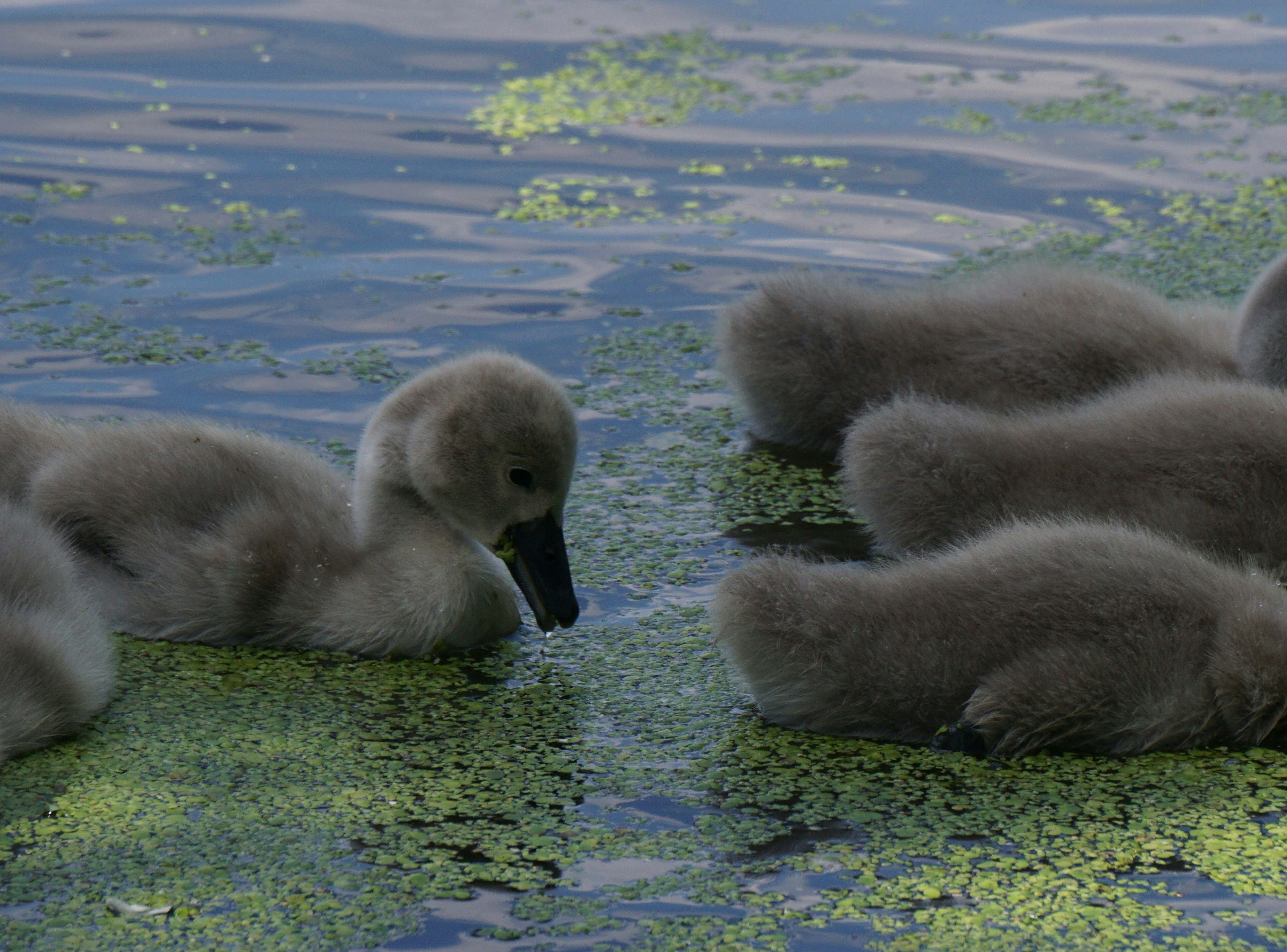 Photo by andreas_haubold