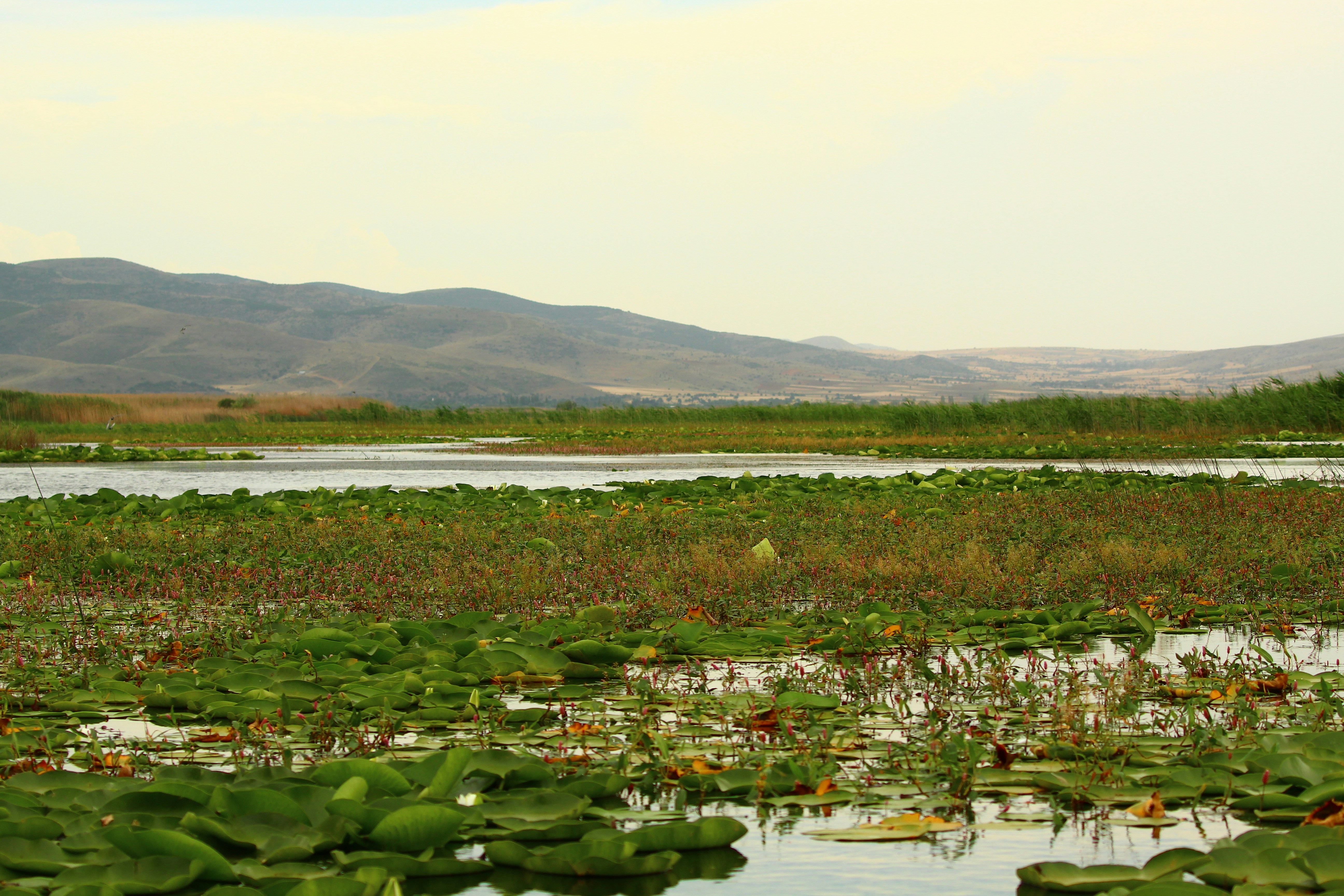 Photo by Seval Torun