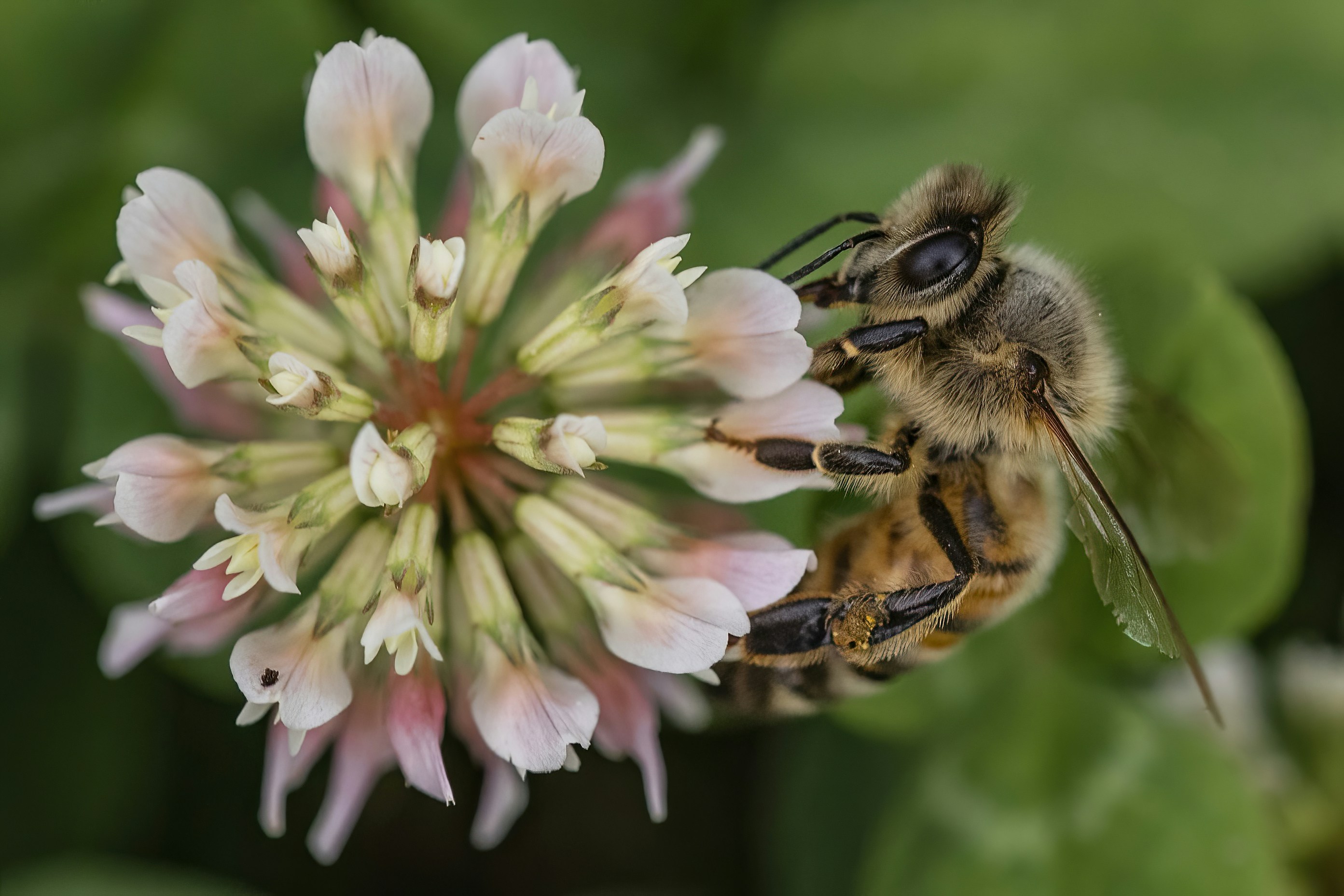 Photo by jddartphotographer