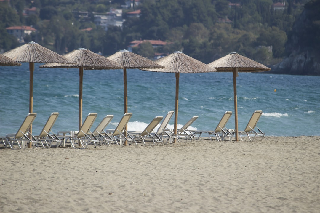 a row of beach chairs and umbrellas on a beach,