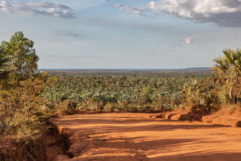 Madagascar