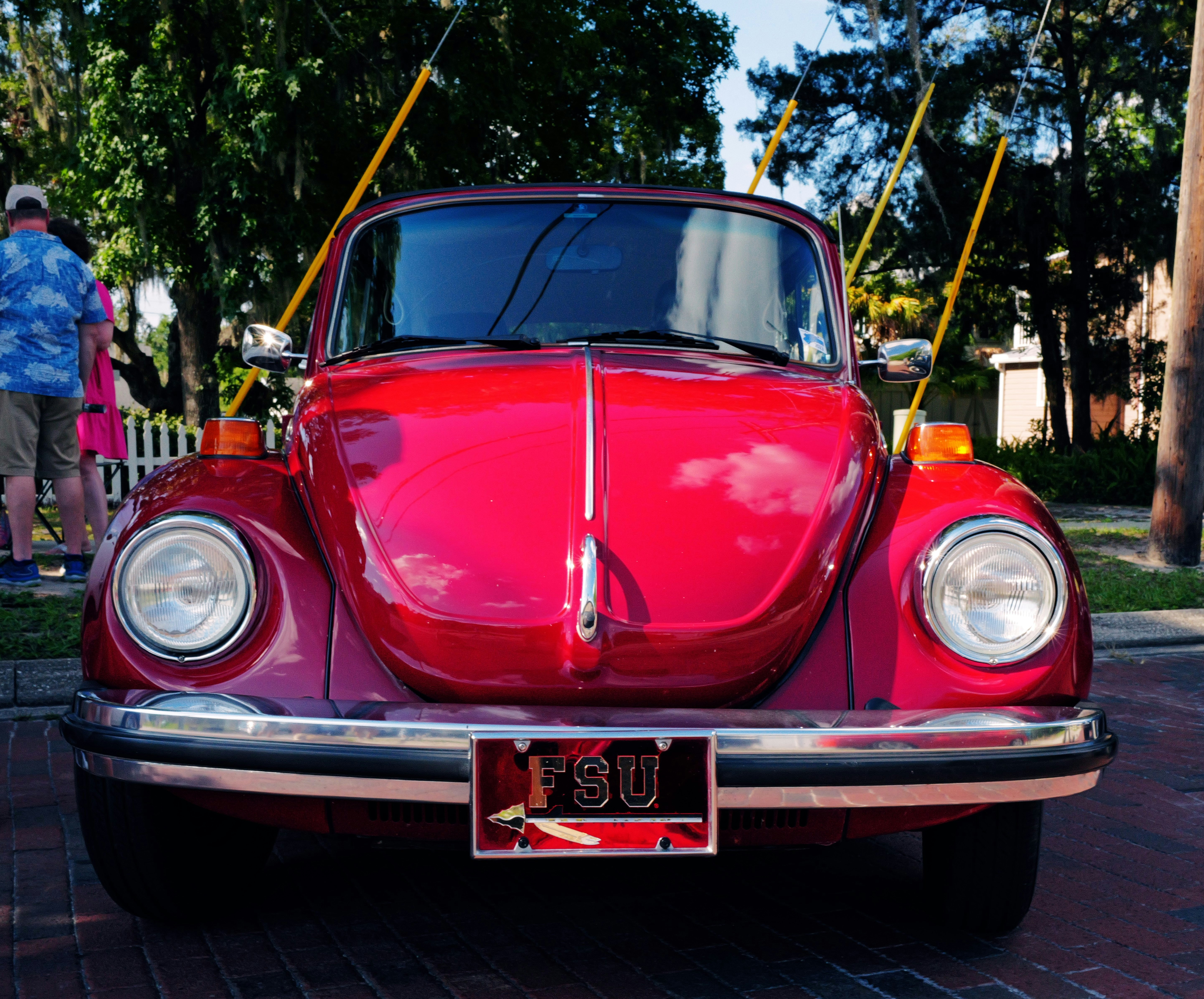 Photo by thephotochad