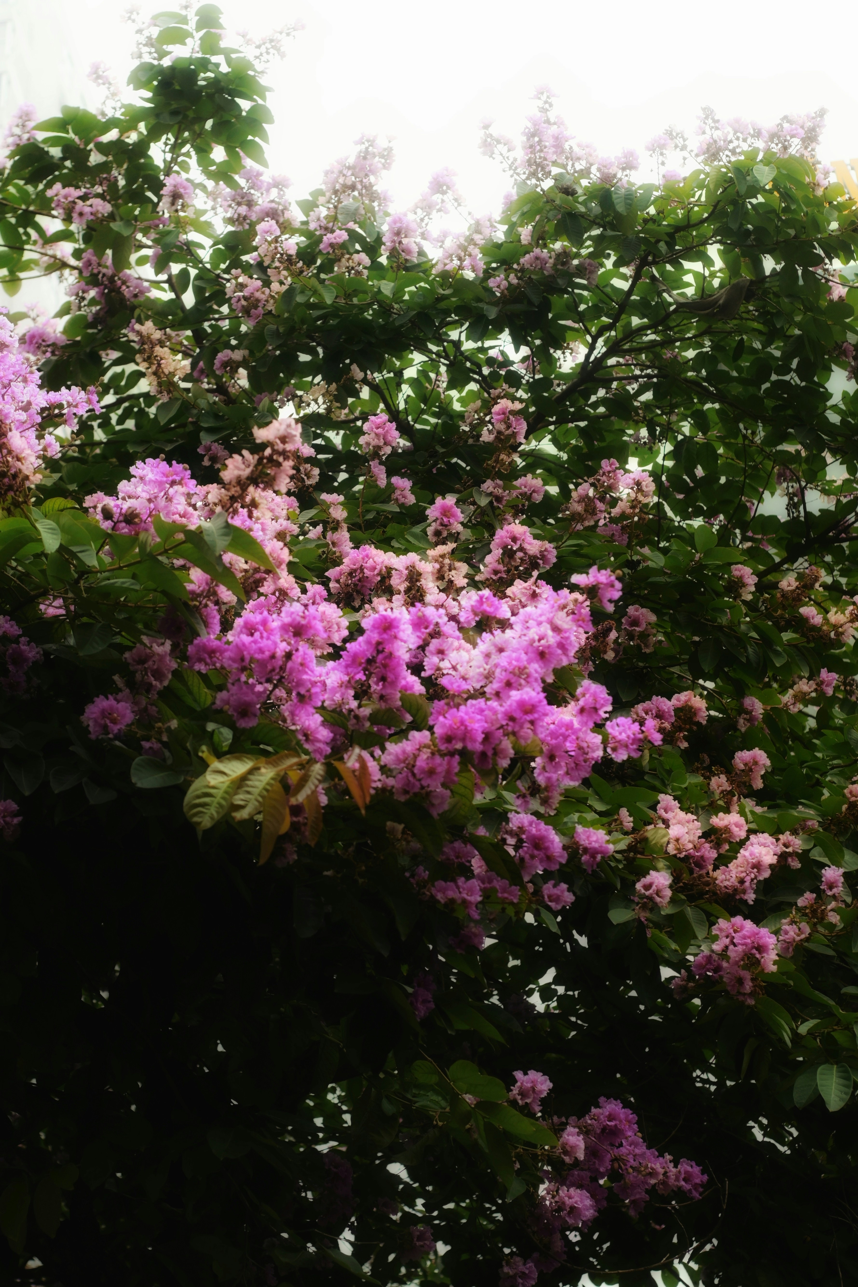 Photo by ltheritage