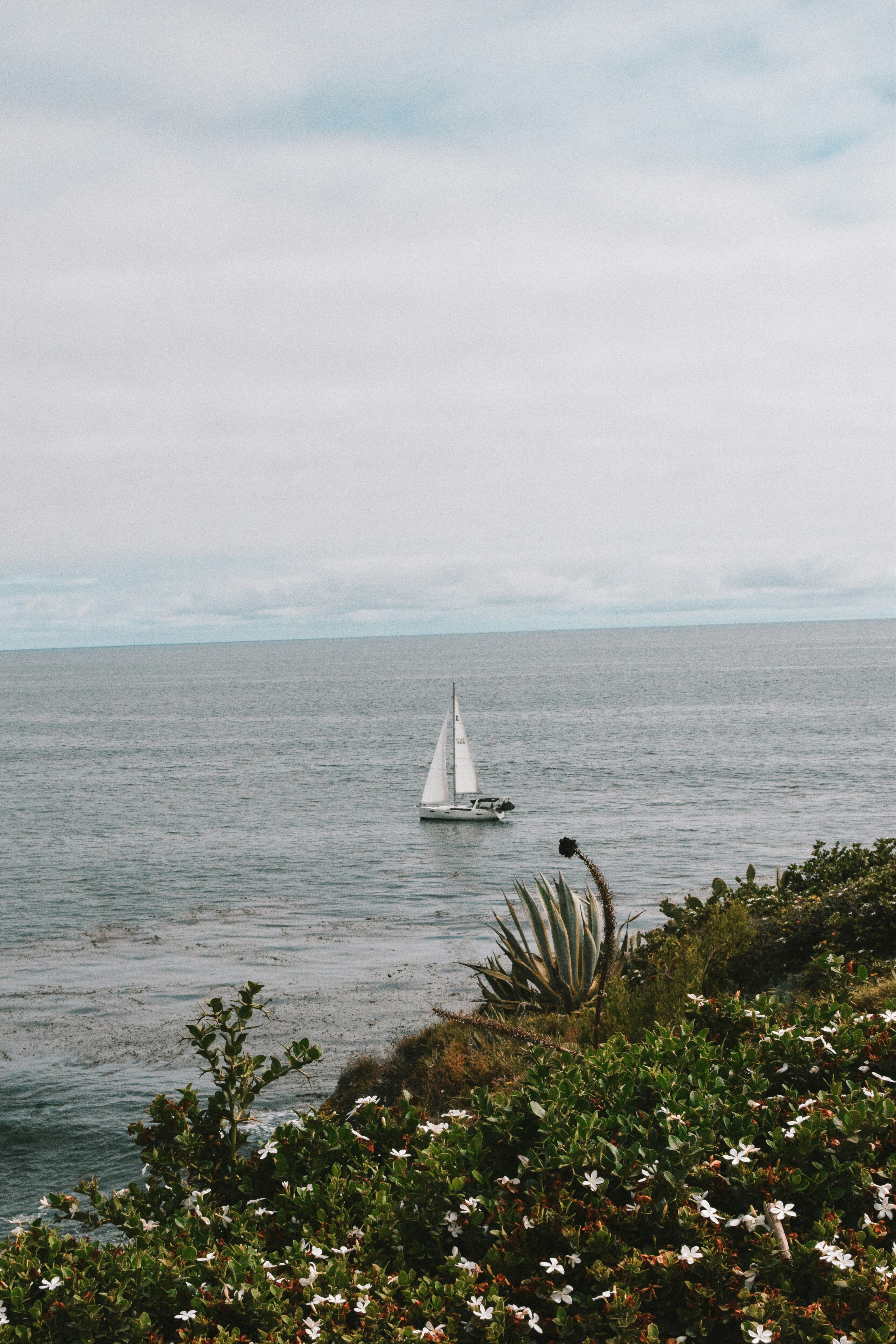 Photo by meganmajocha