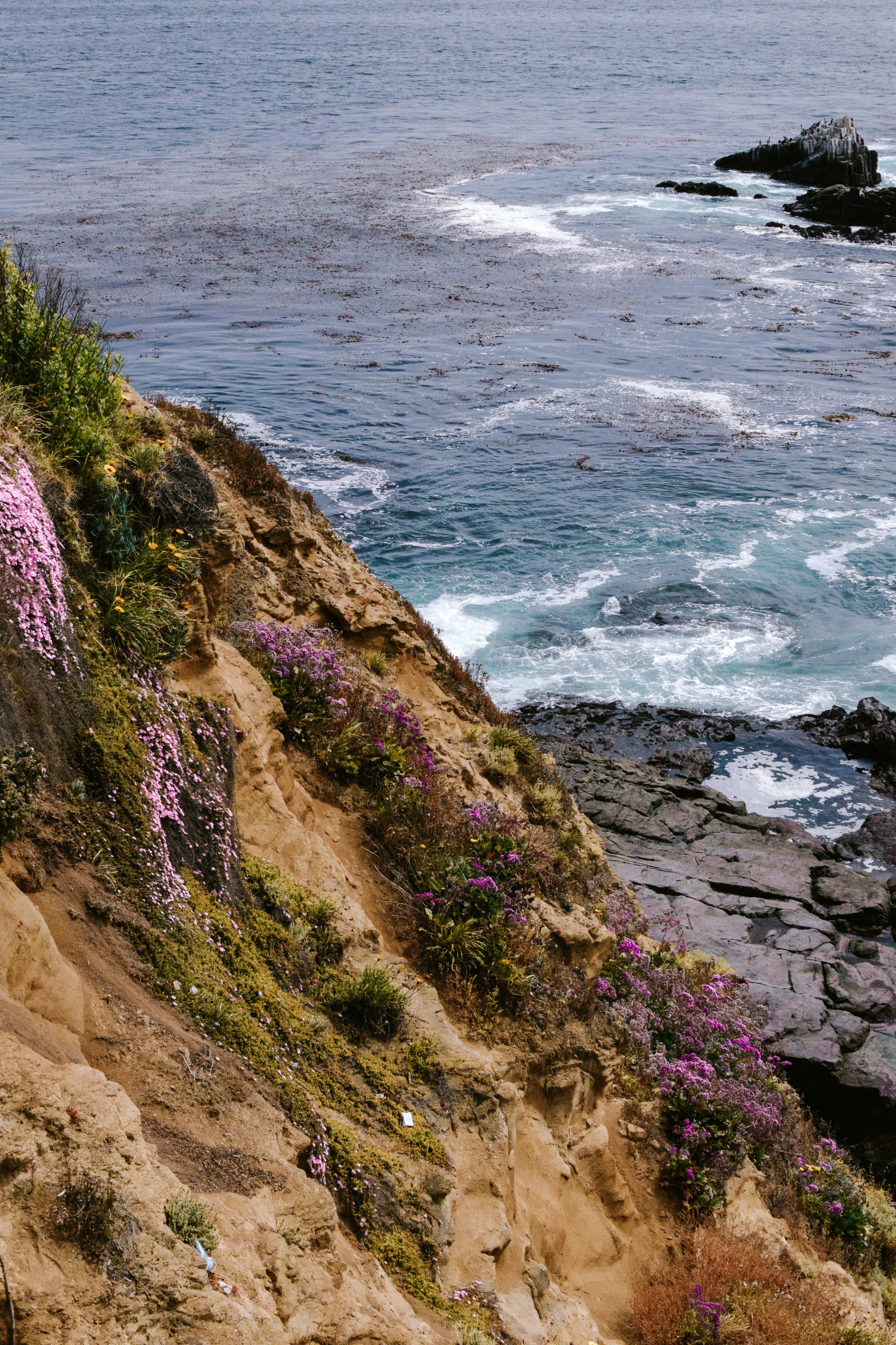 Photo by meganmajocha