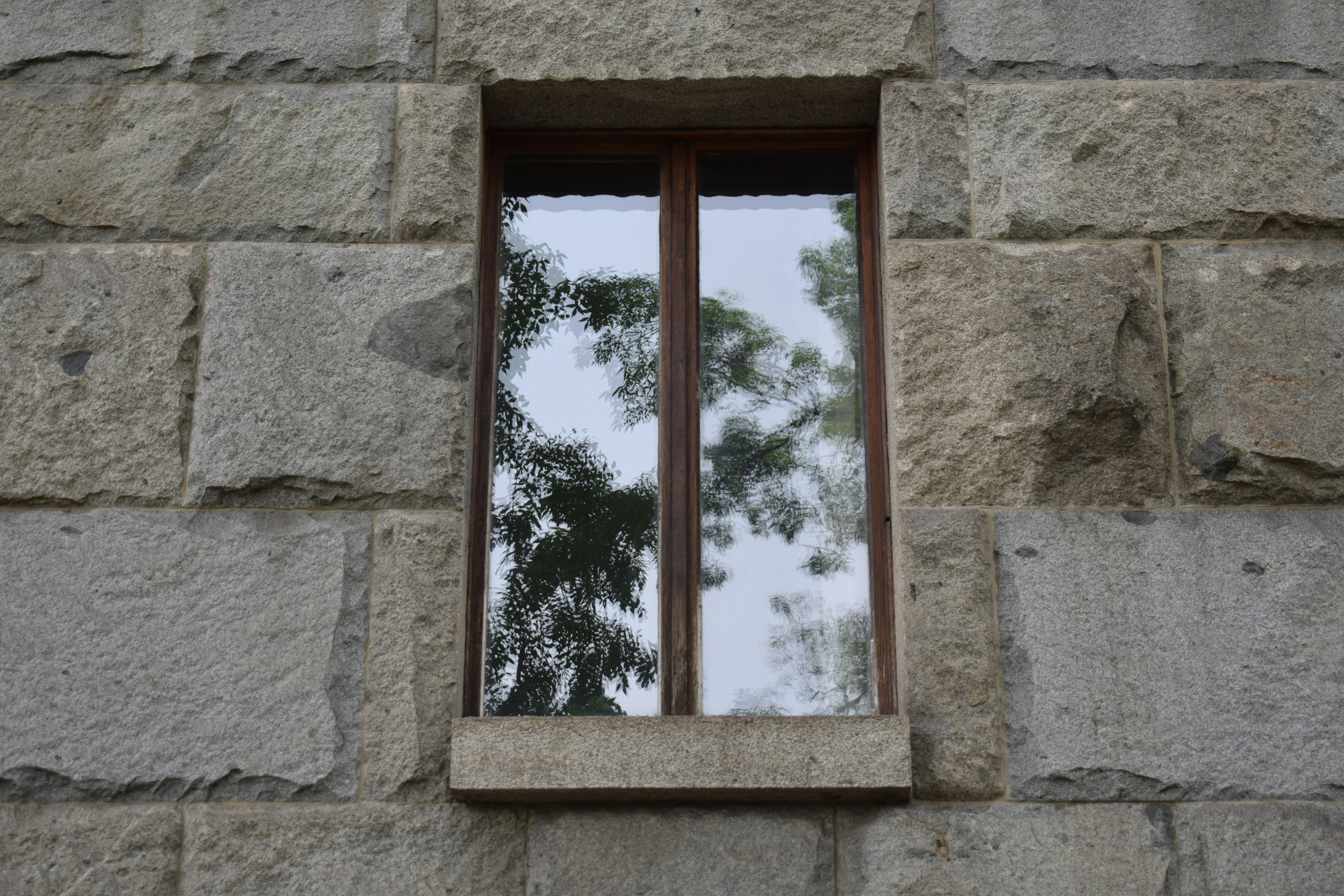 a window with a reflection of trees in it