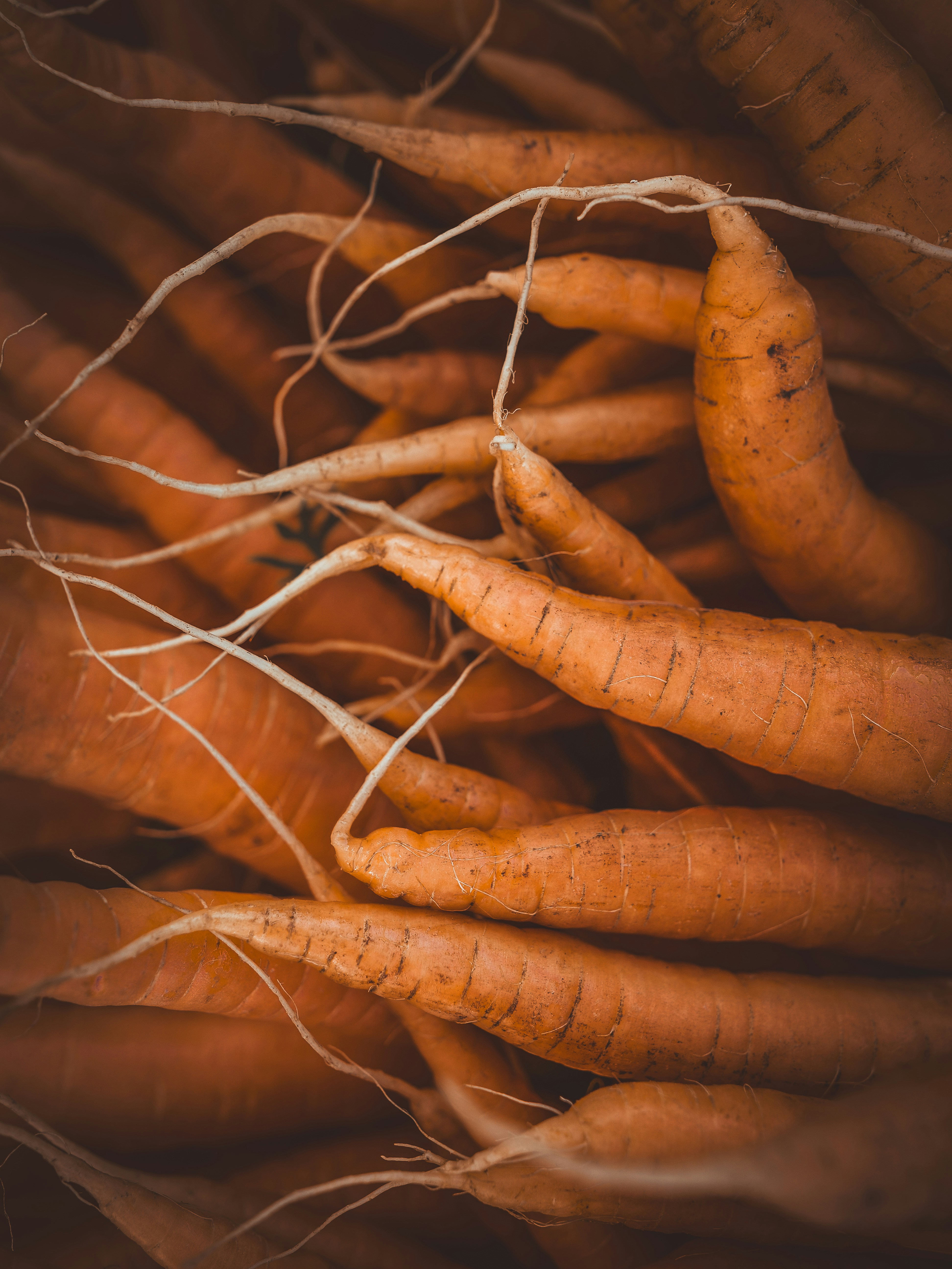 a bunch of carrots that are sitting together
