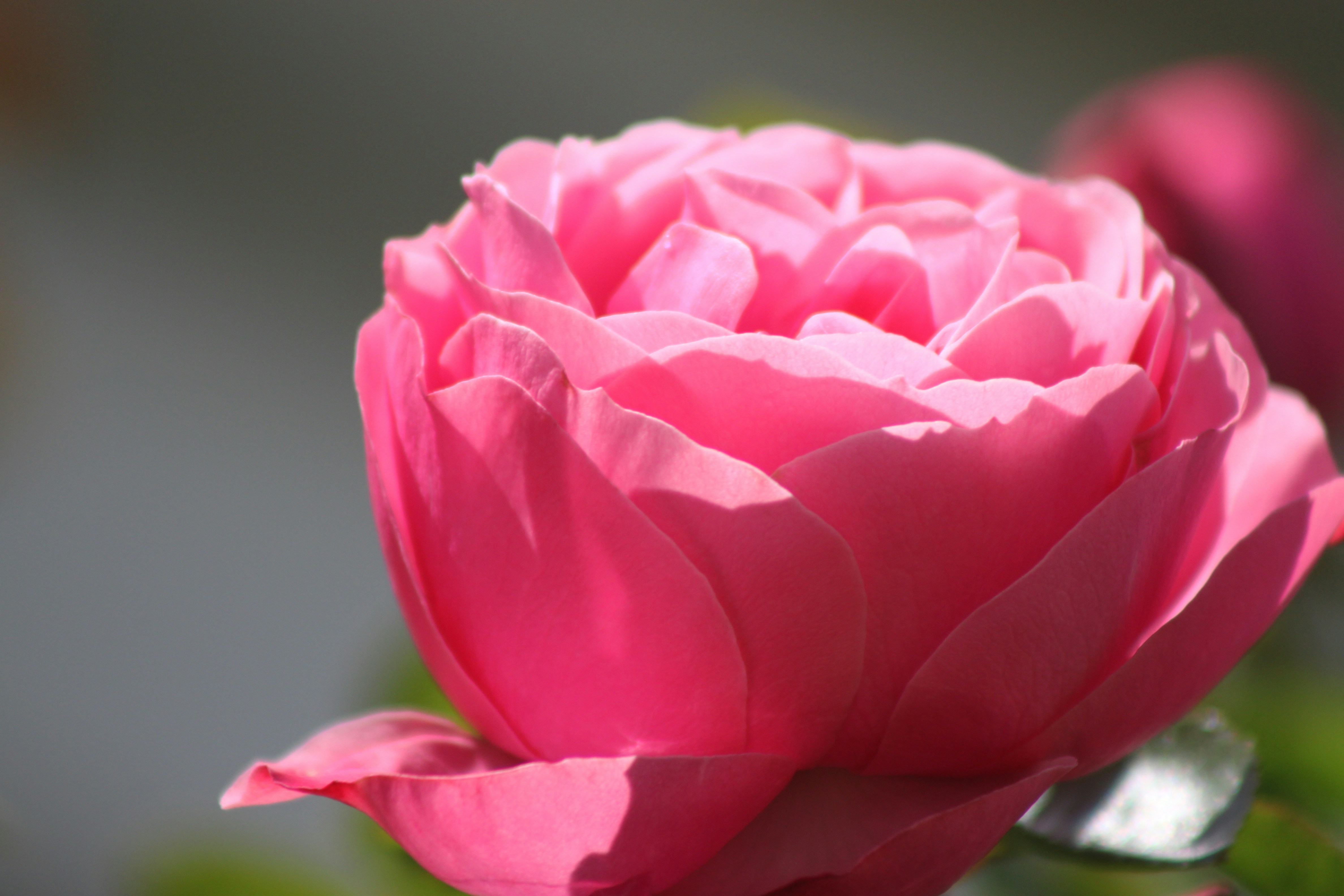 Photo by rubyphotography