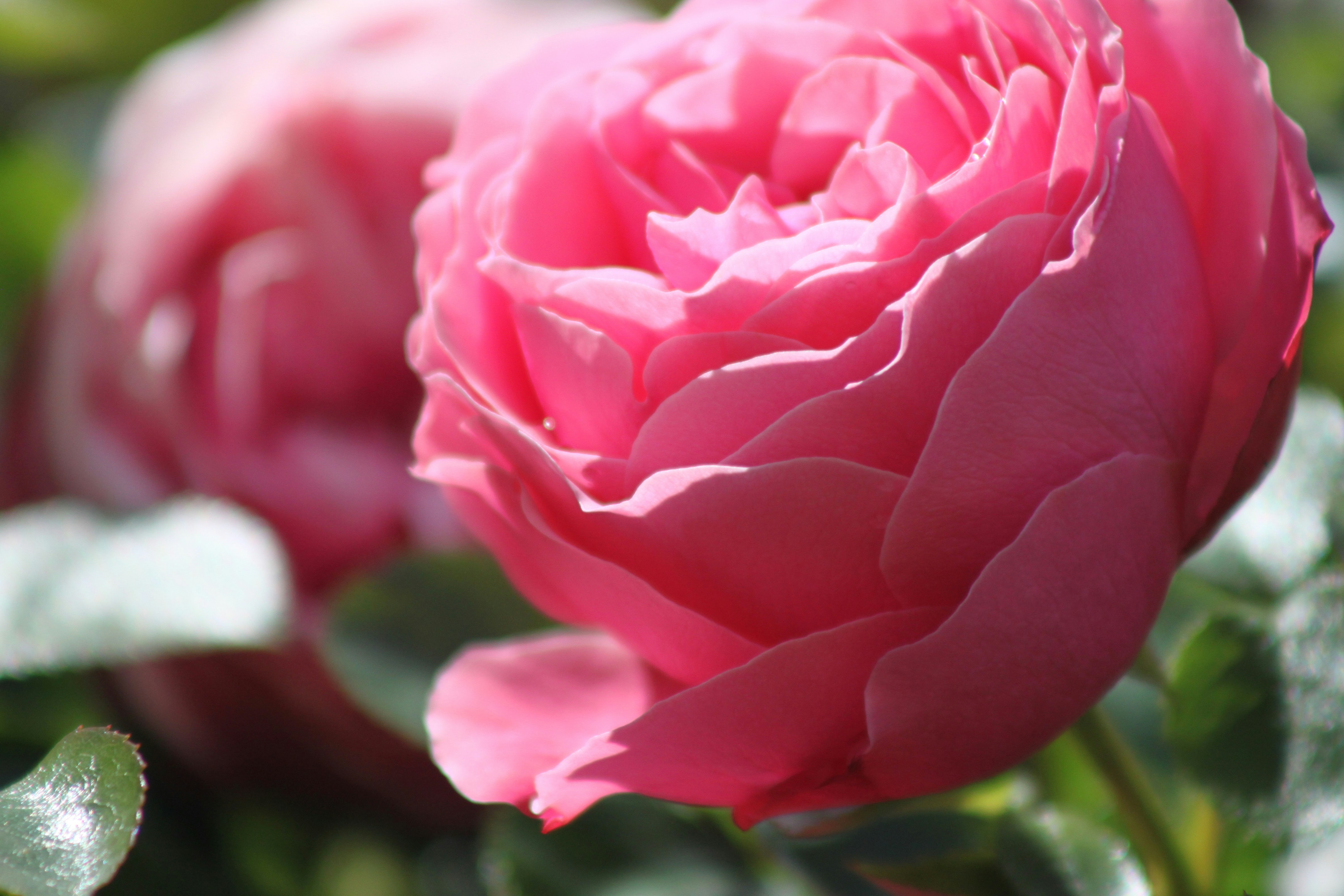 Photo by rubyphotography