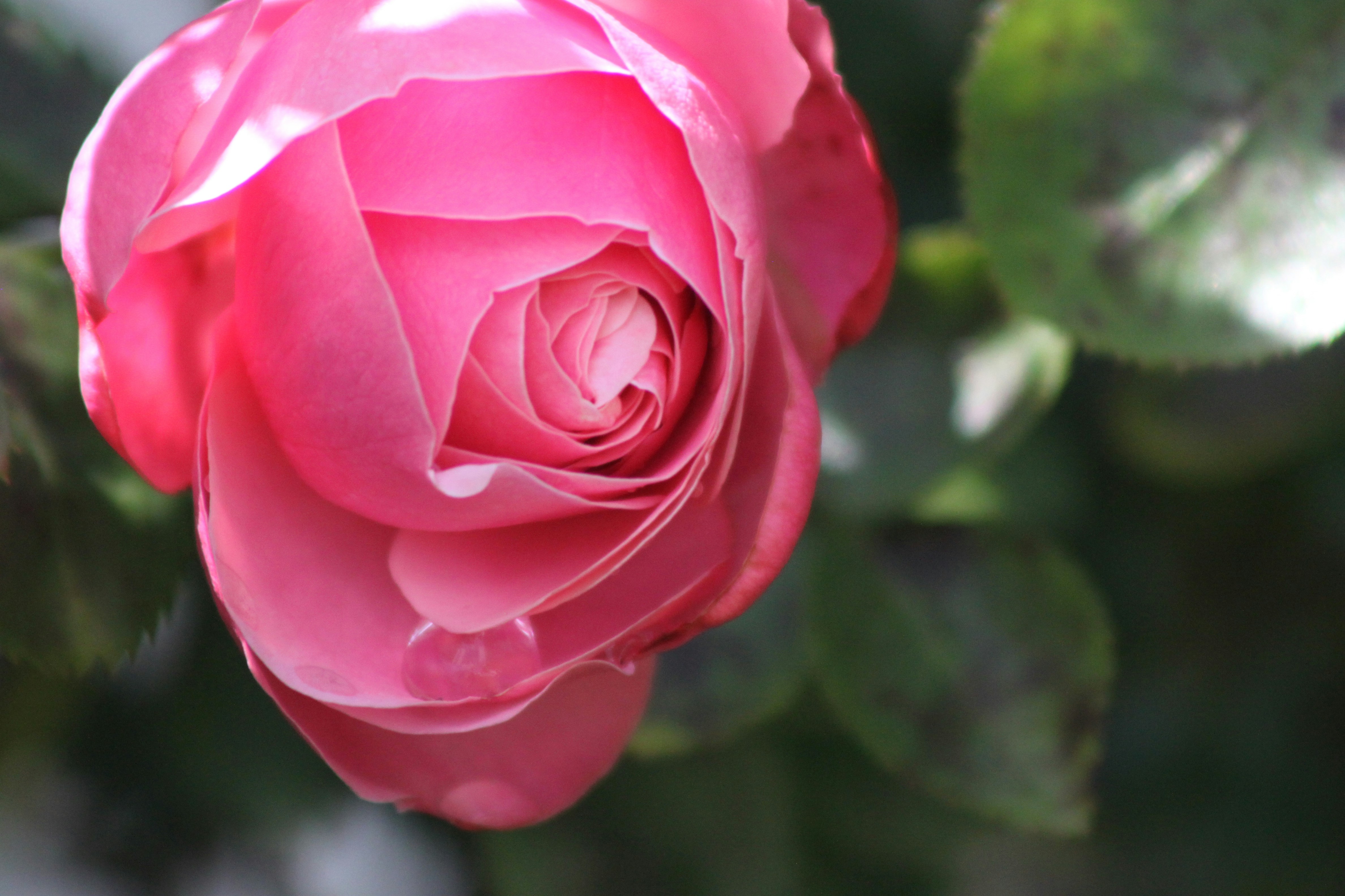 Photo by rubyphotography