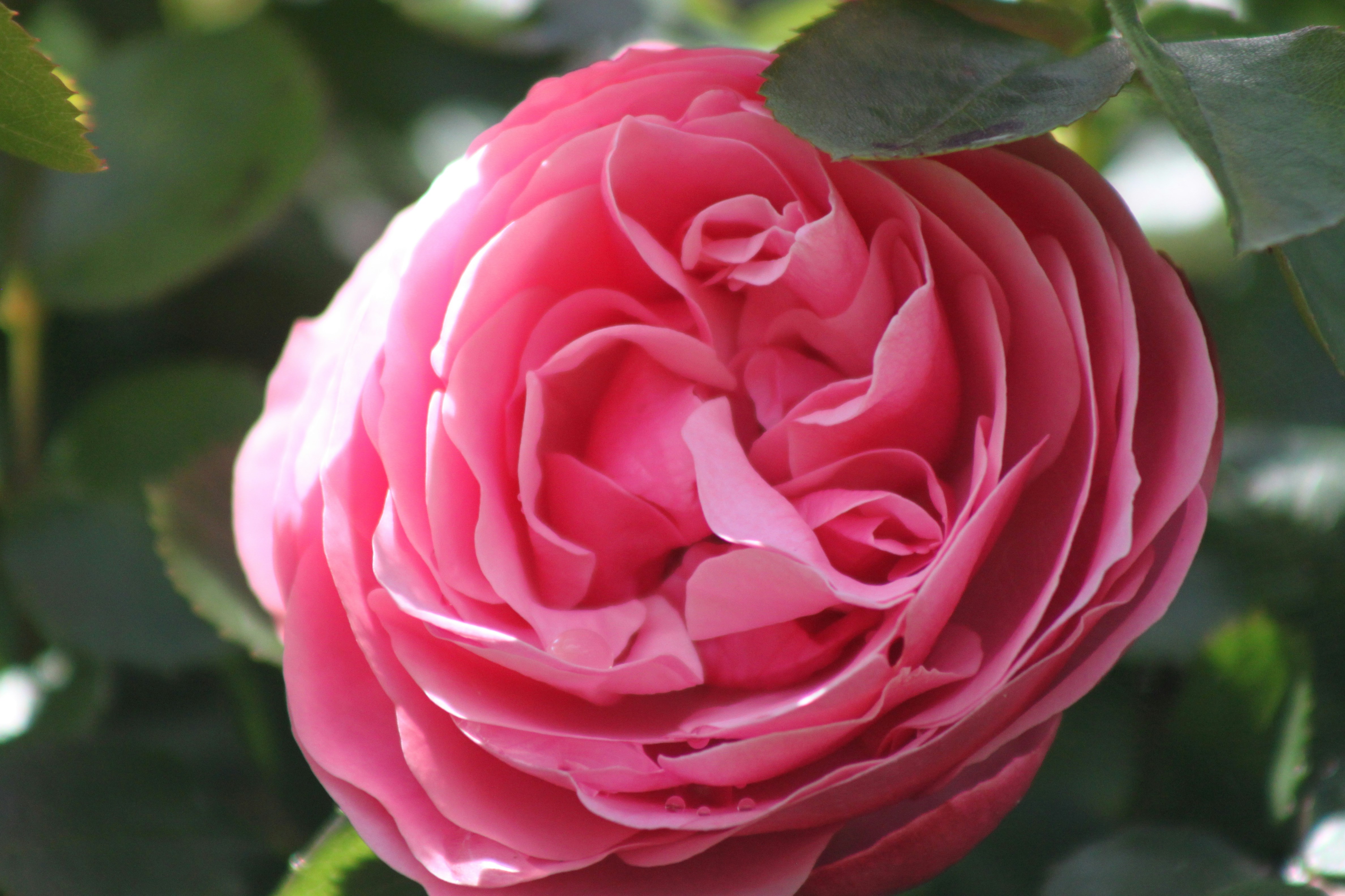 Photo by rubyphotography