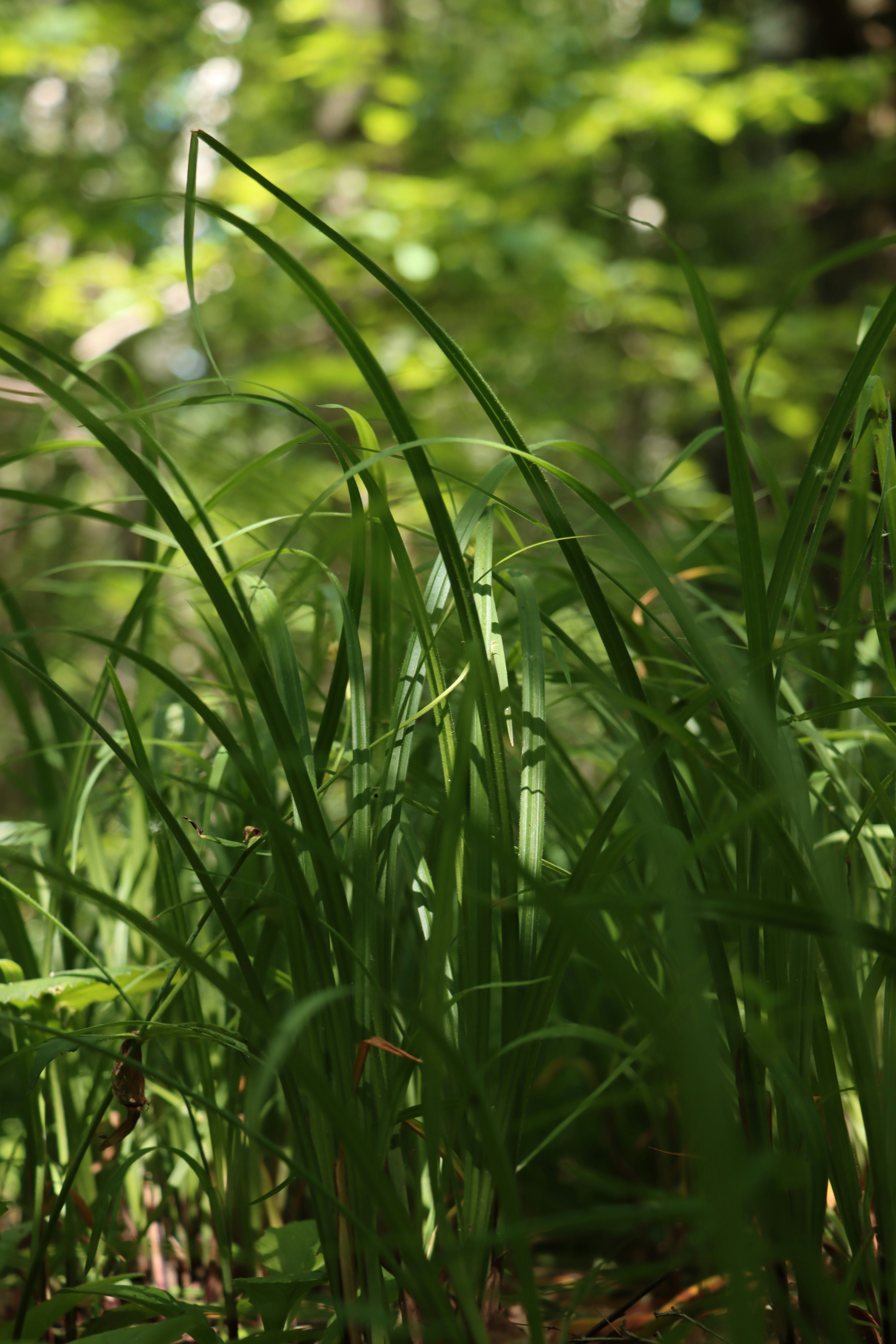 Photo by irina_chishkova