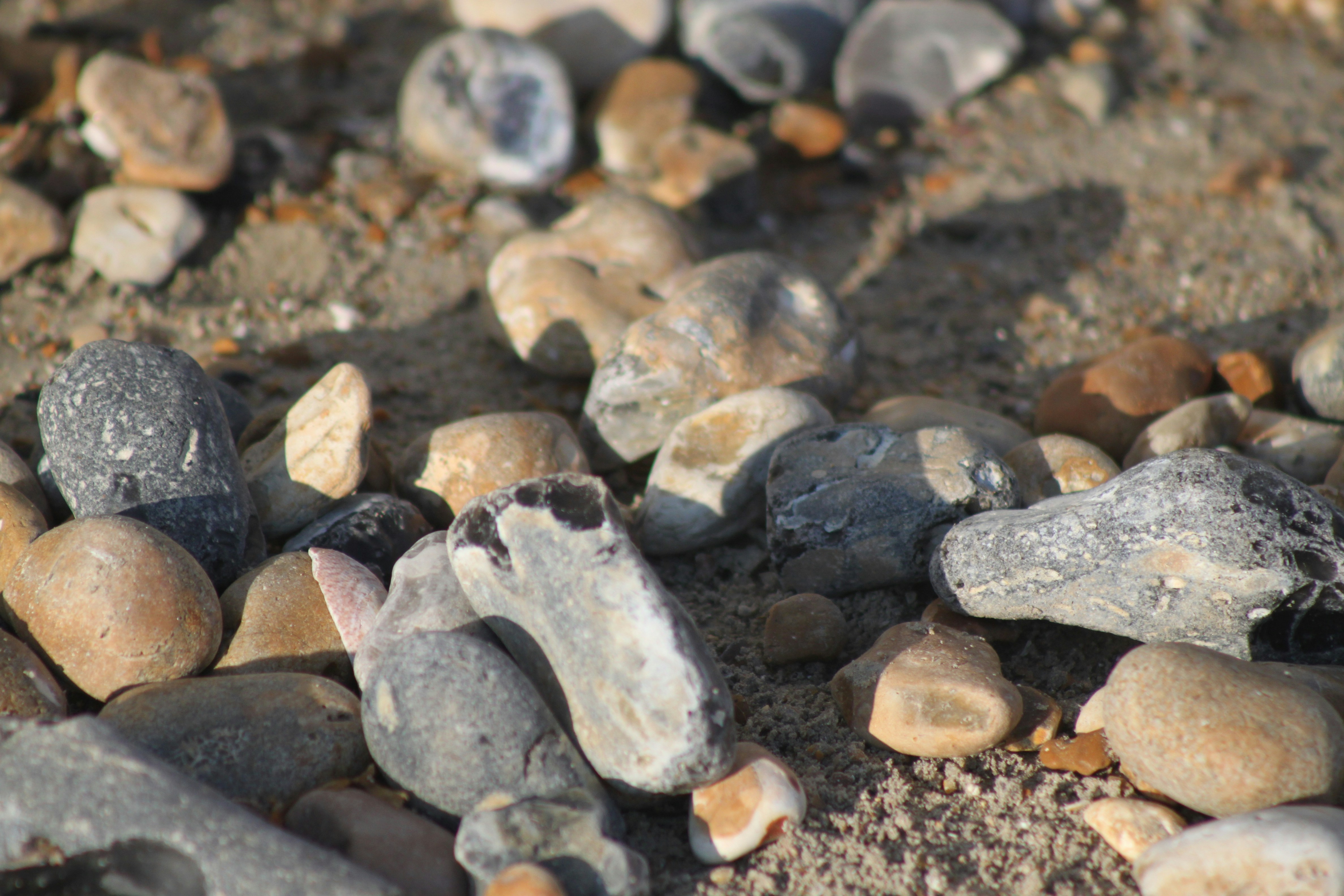 Photo by rubyphotography