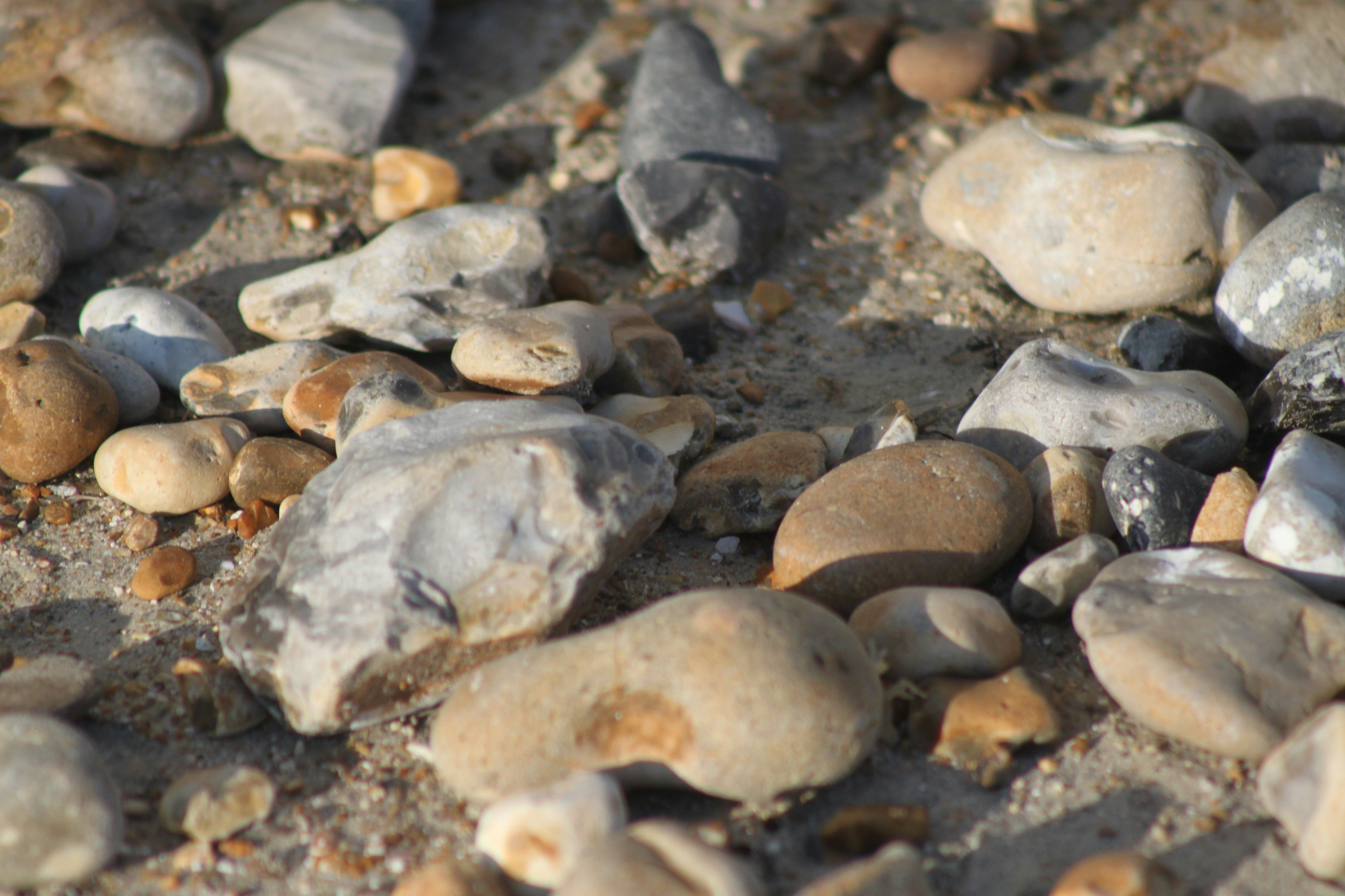 Photo by rubyphotography