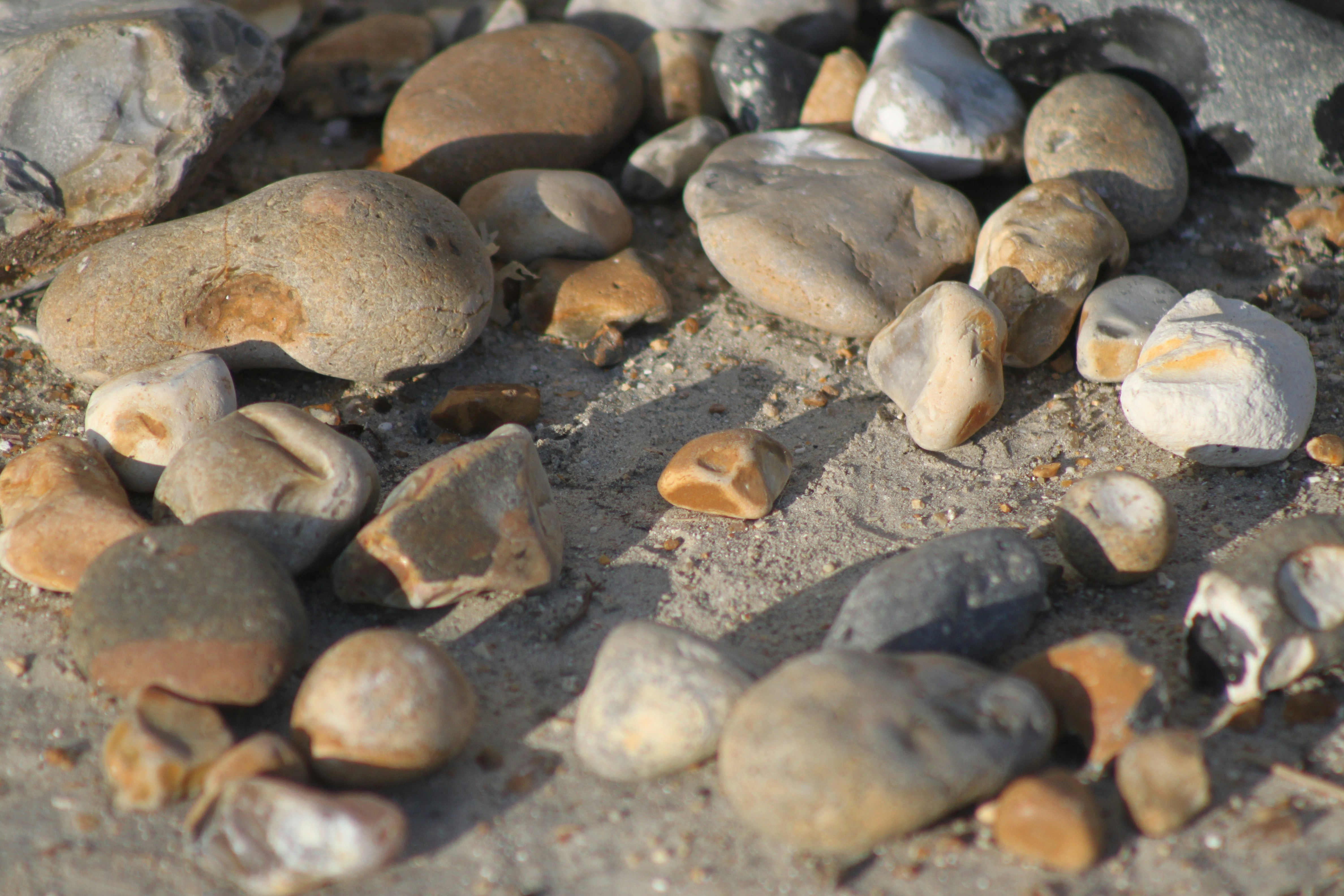 Photo by rubyphotography