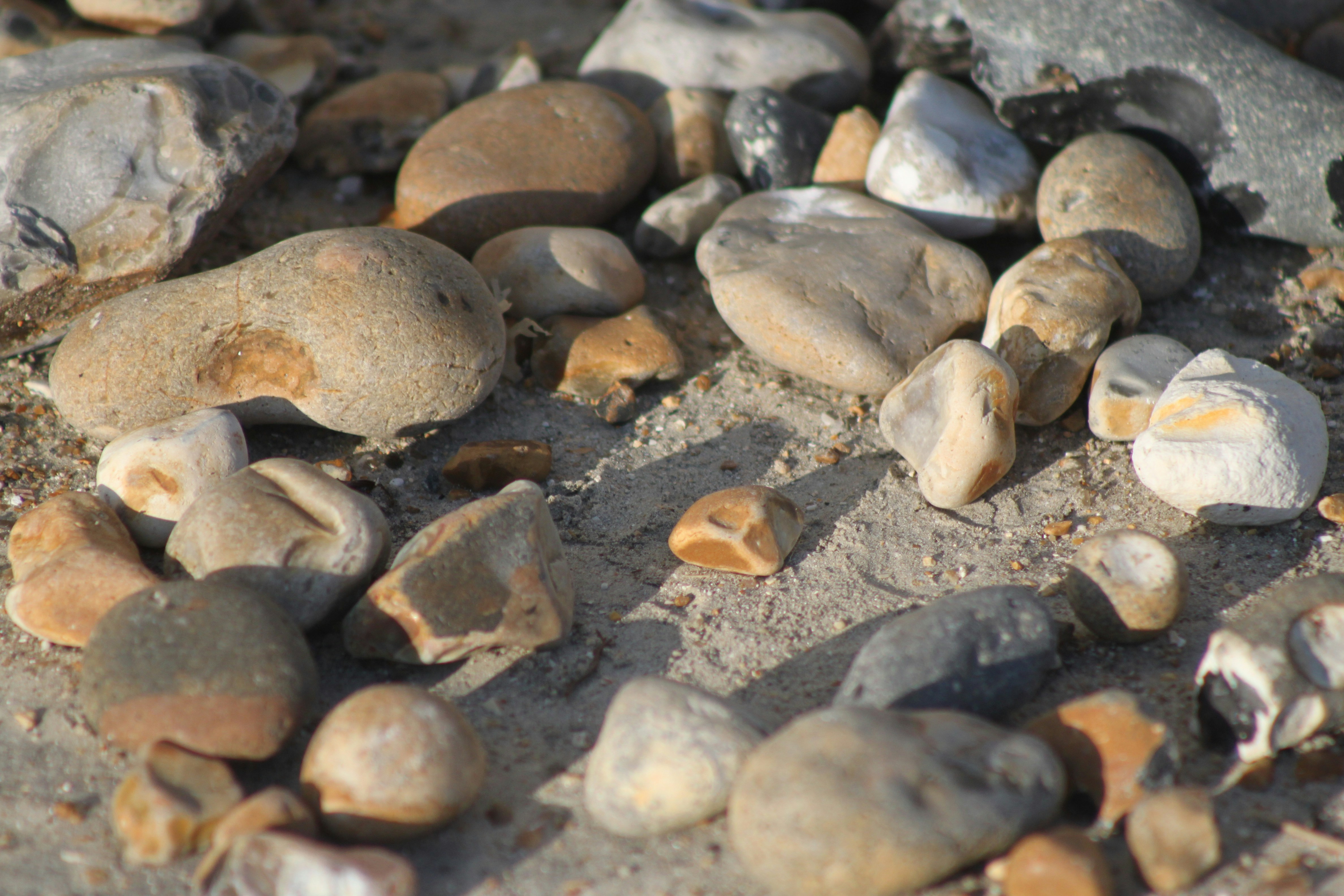 Photo by rubyphotography