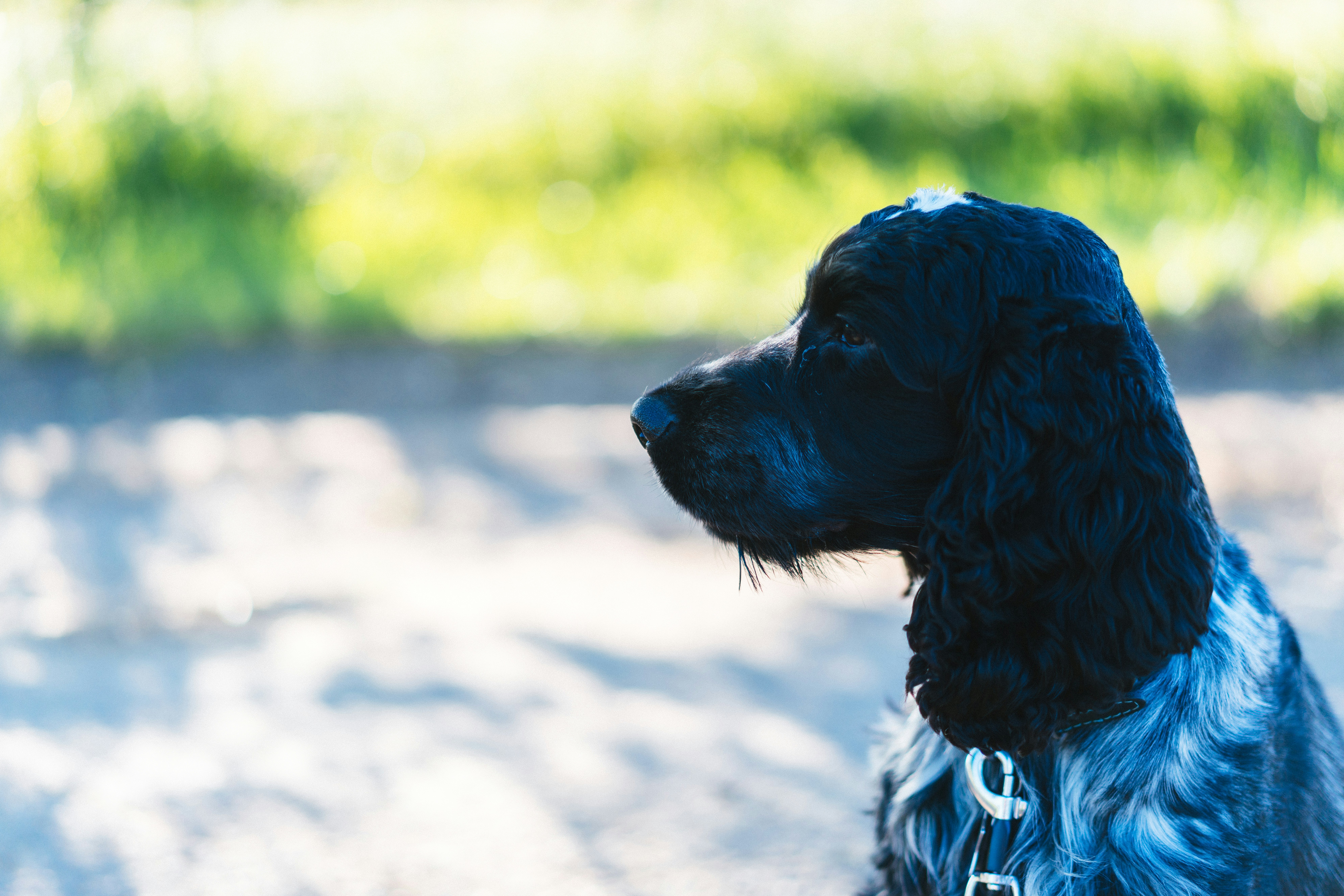 Photo by philhearing