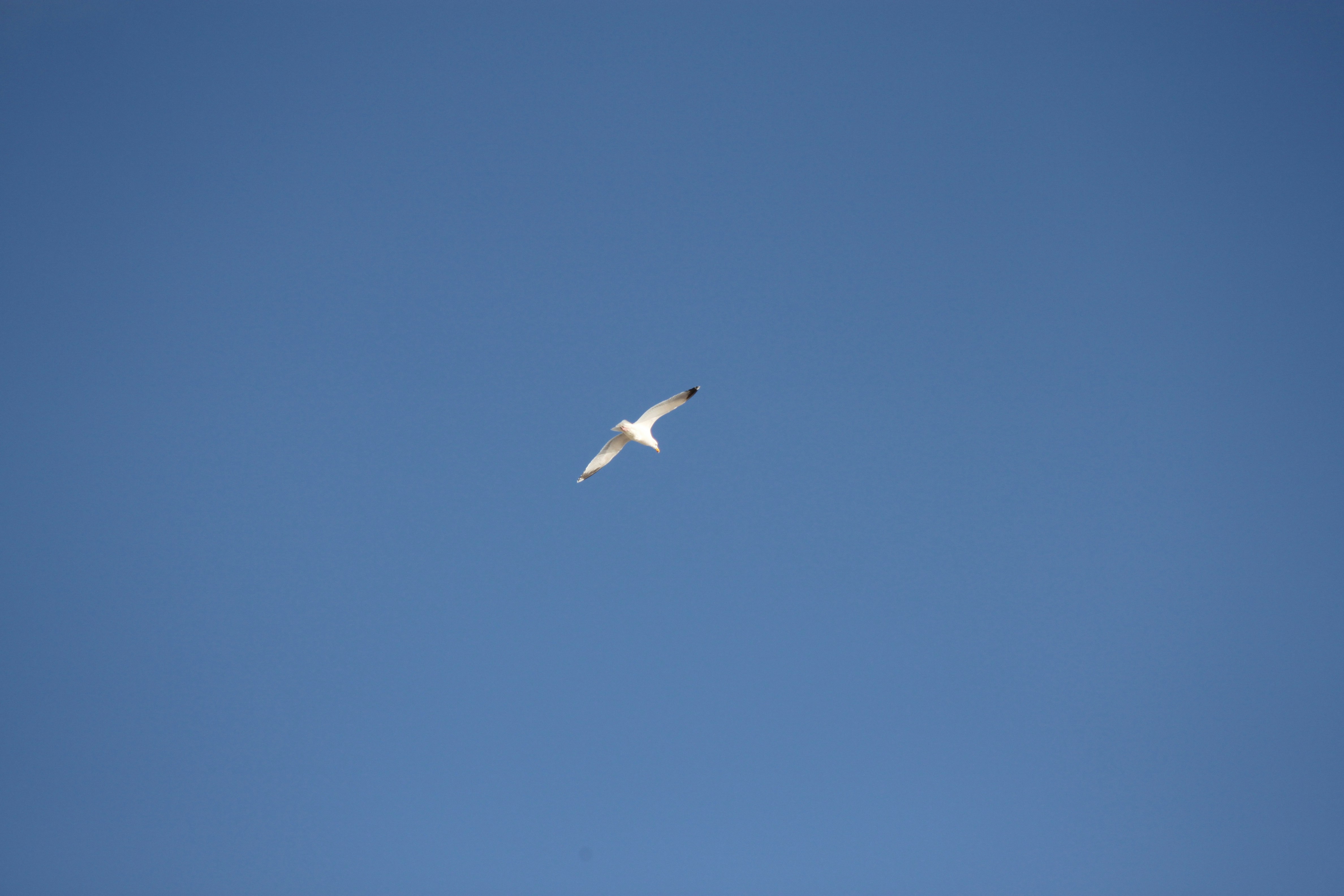 Photo by rubyphotography