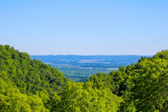 a scenic view of a valley surrounded by trees