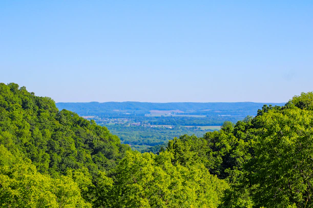 a scenic view of a valley surrounded by trees