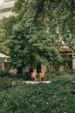 two people sitting on a bench under a tree