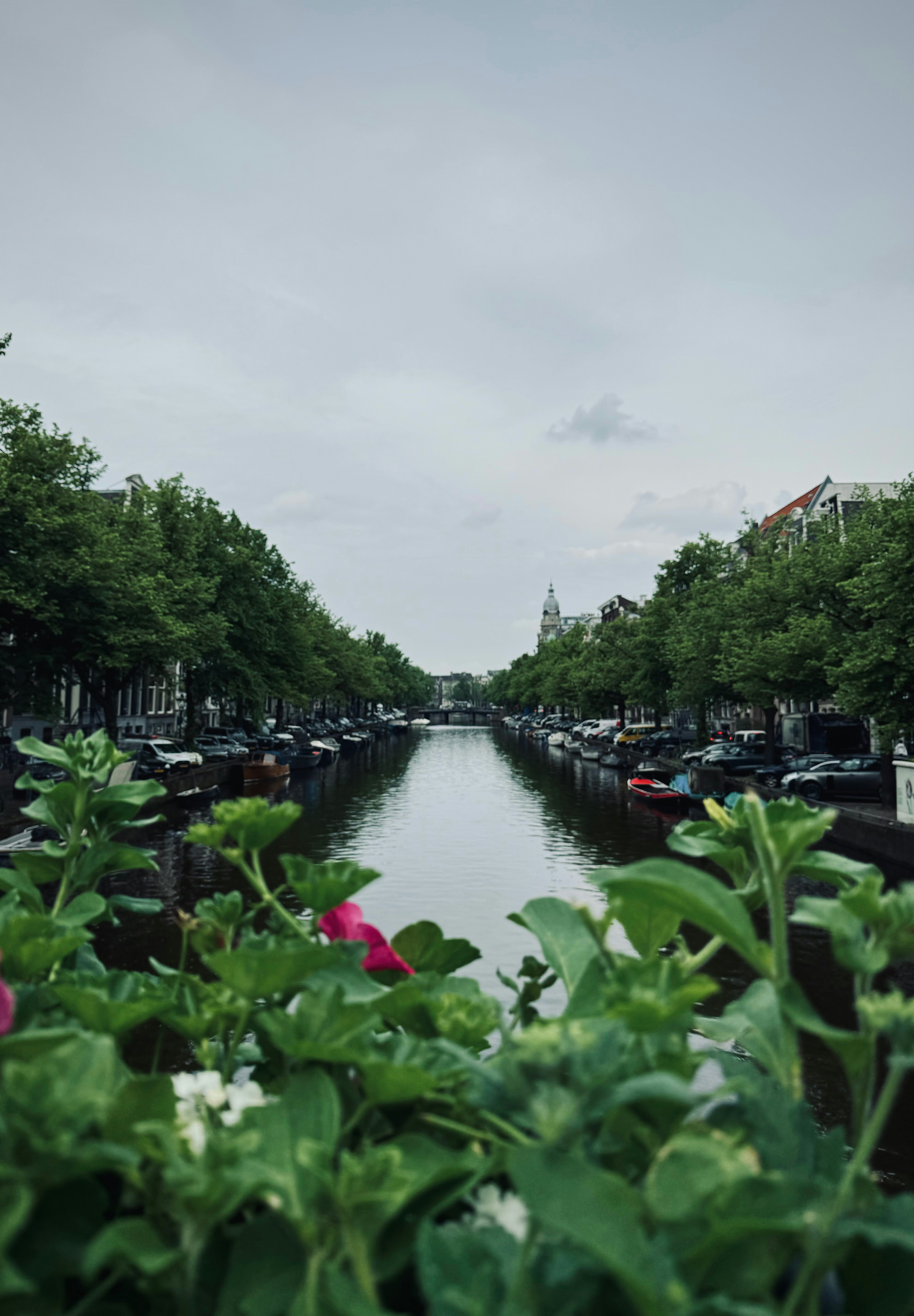 Photo by kristoferboev