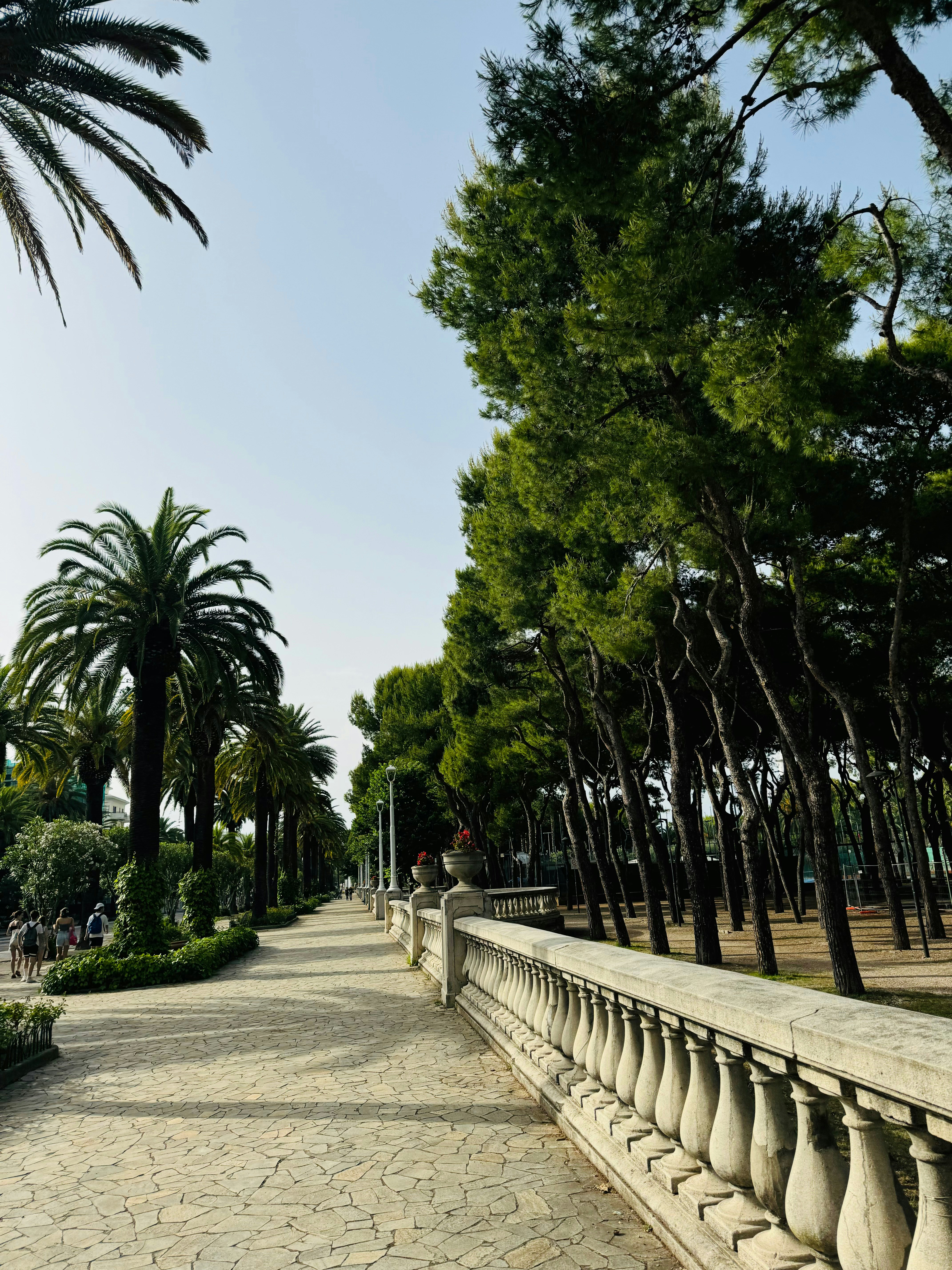 Photo by alessandroquagliarini