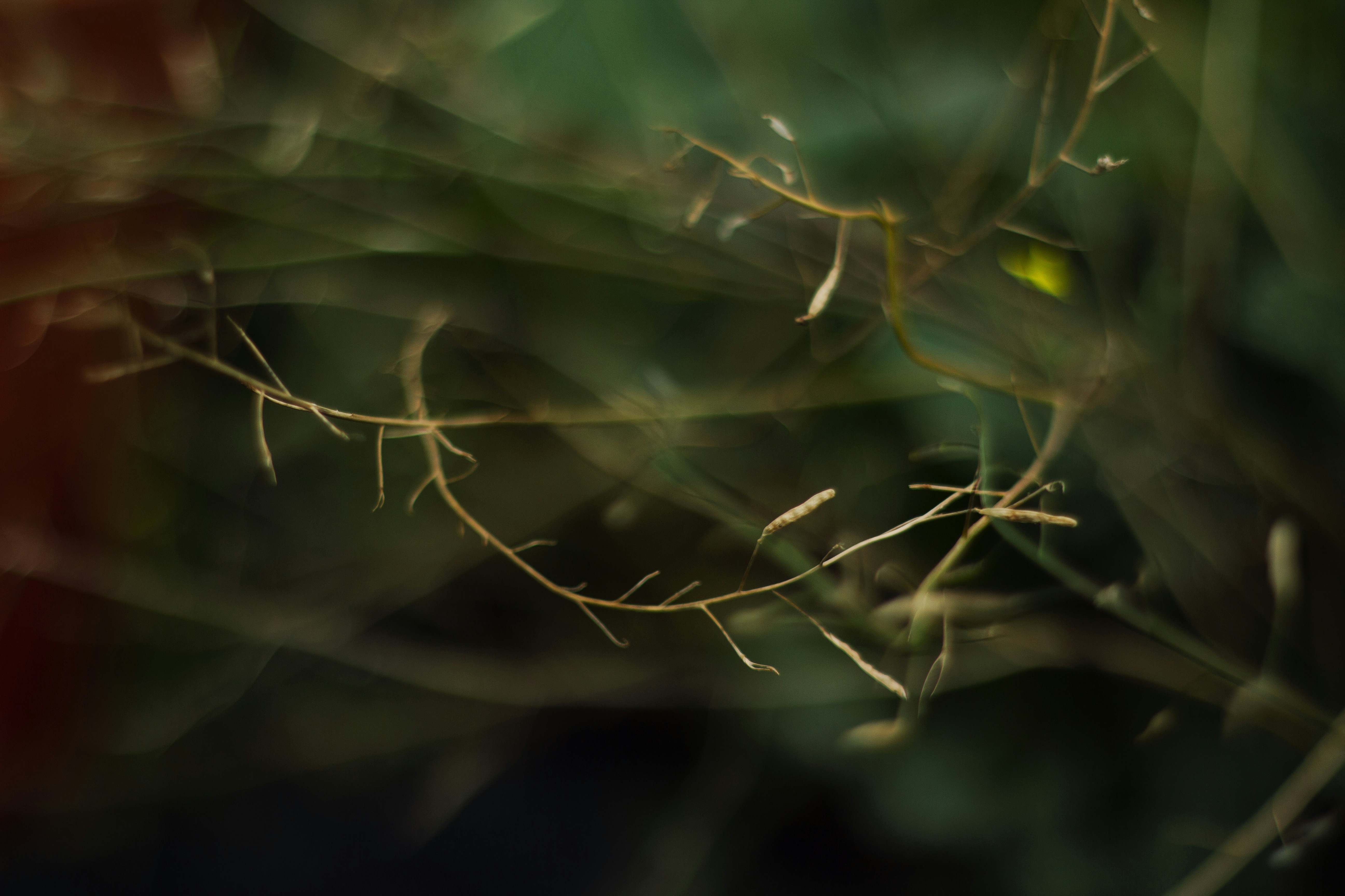 Photo by carlosborges_